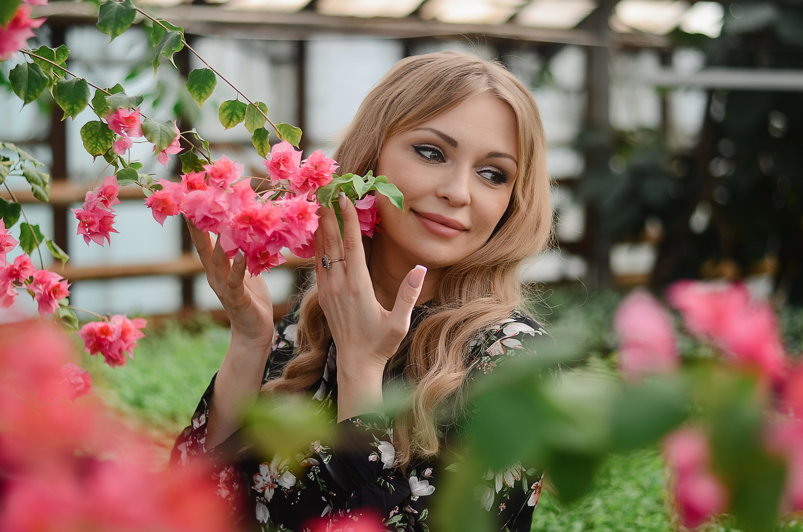 В теплицах. Thephoto-russia.ru