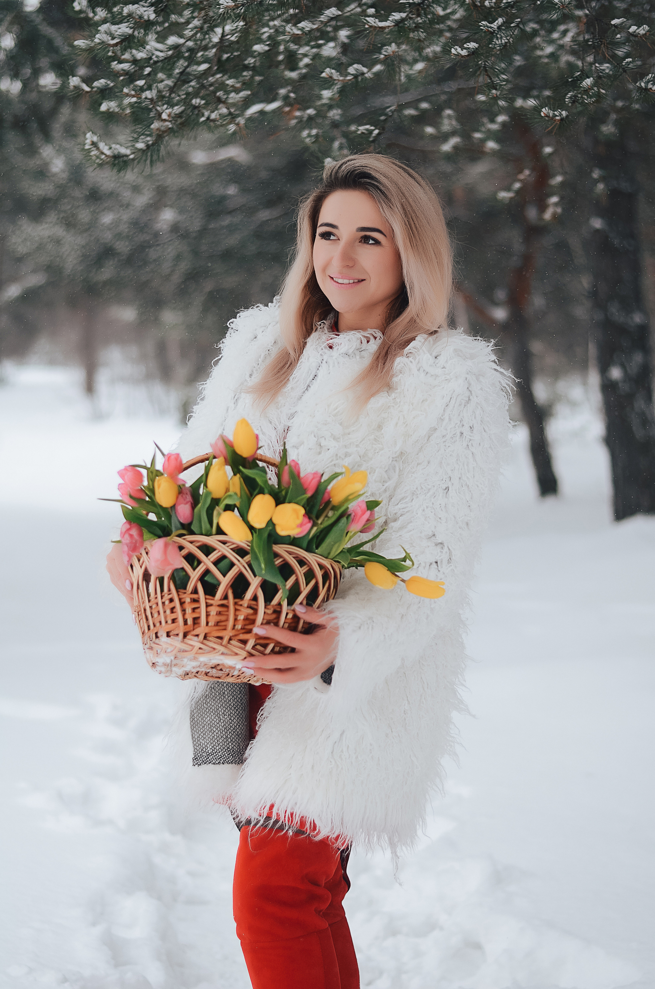 Зимний фотопроект Тюльпаны. Thephoto-russia.ru