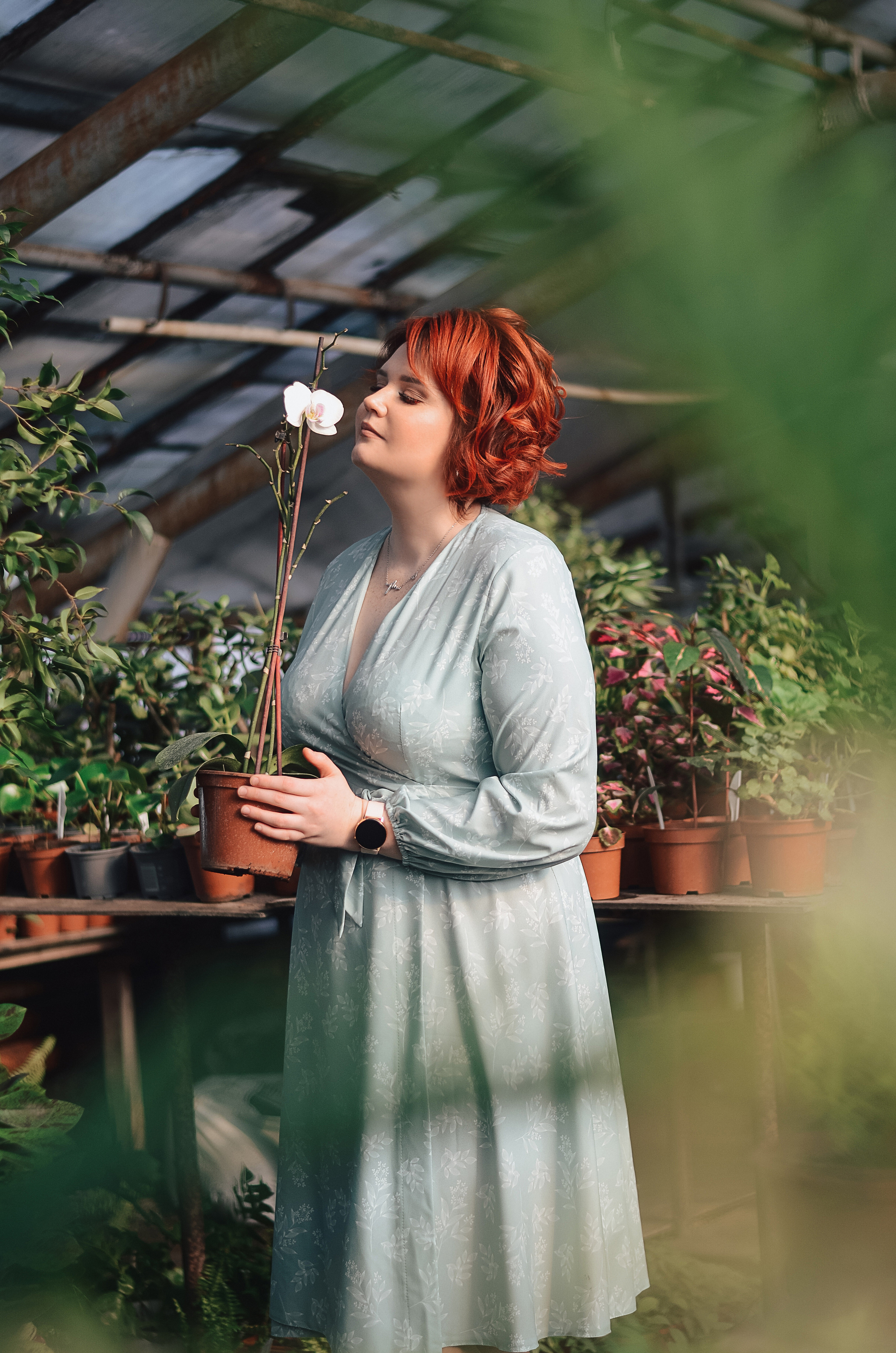 В теплицах. Thephoto-russia.ru