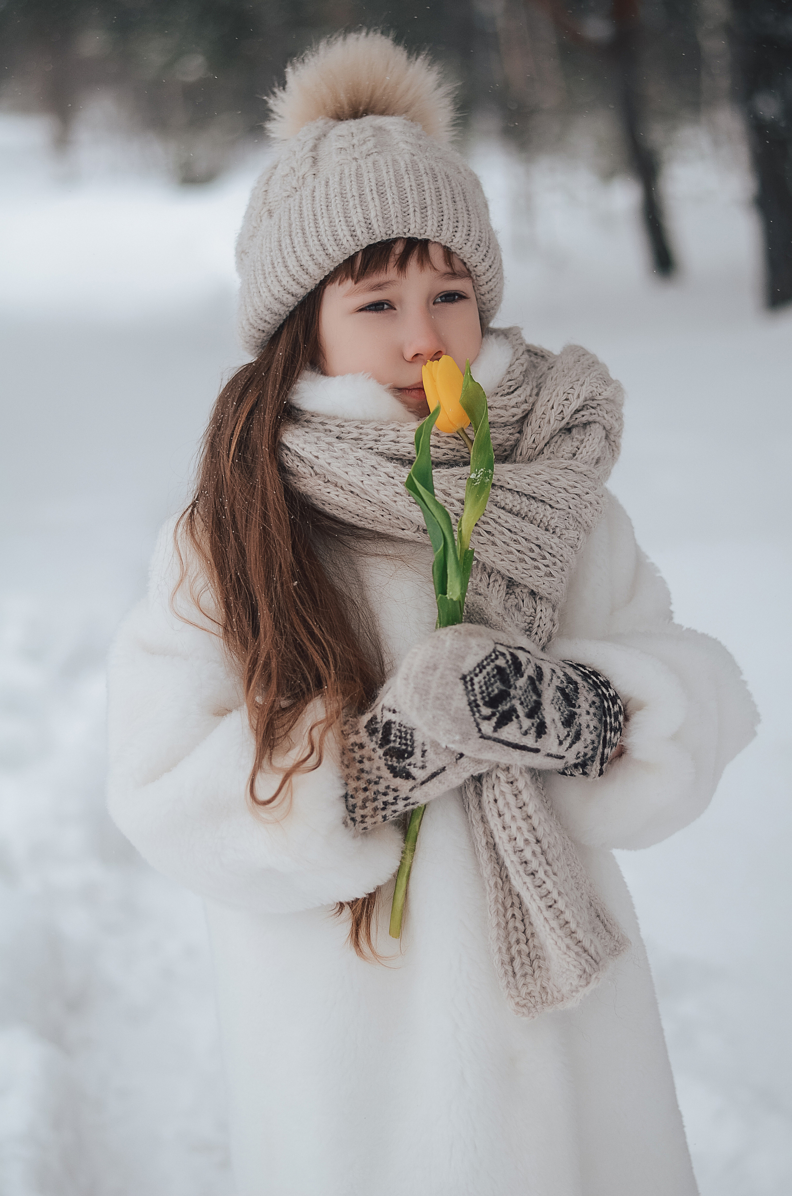 Зимний фотопроект Тюльпаны. Thephoto-russia.ru