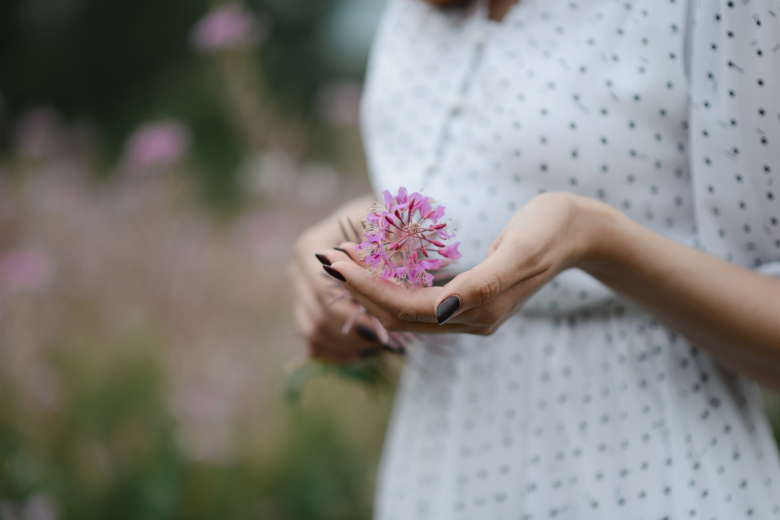 В полях. Thephoto-russia.ru