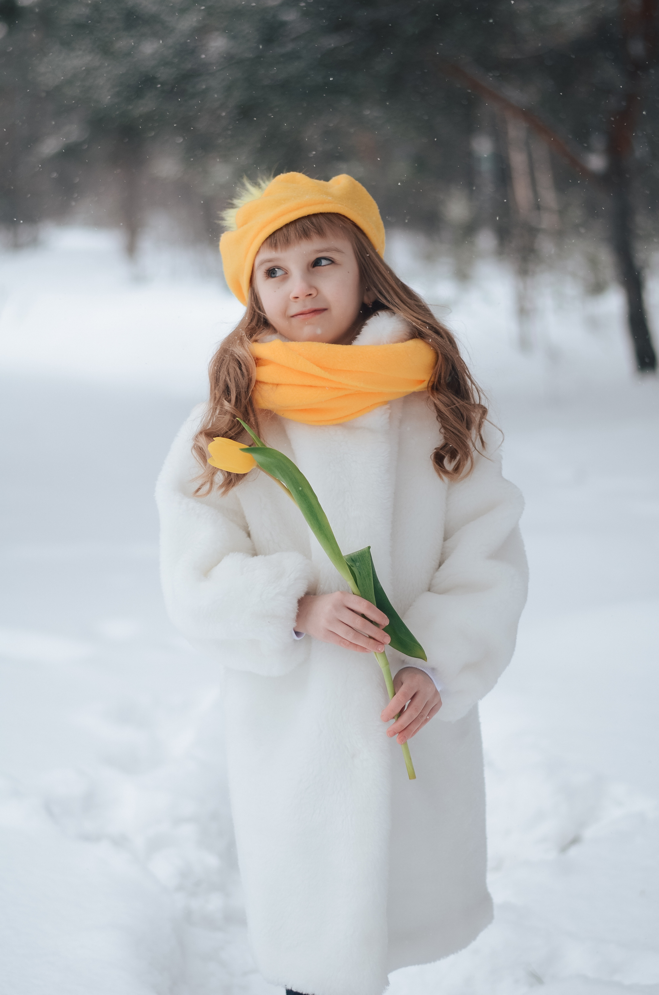 Зимний фотопроект Тюльпаны. Thephoto-russia.ru