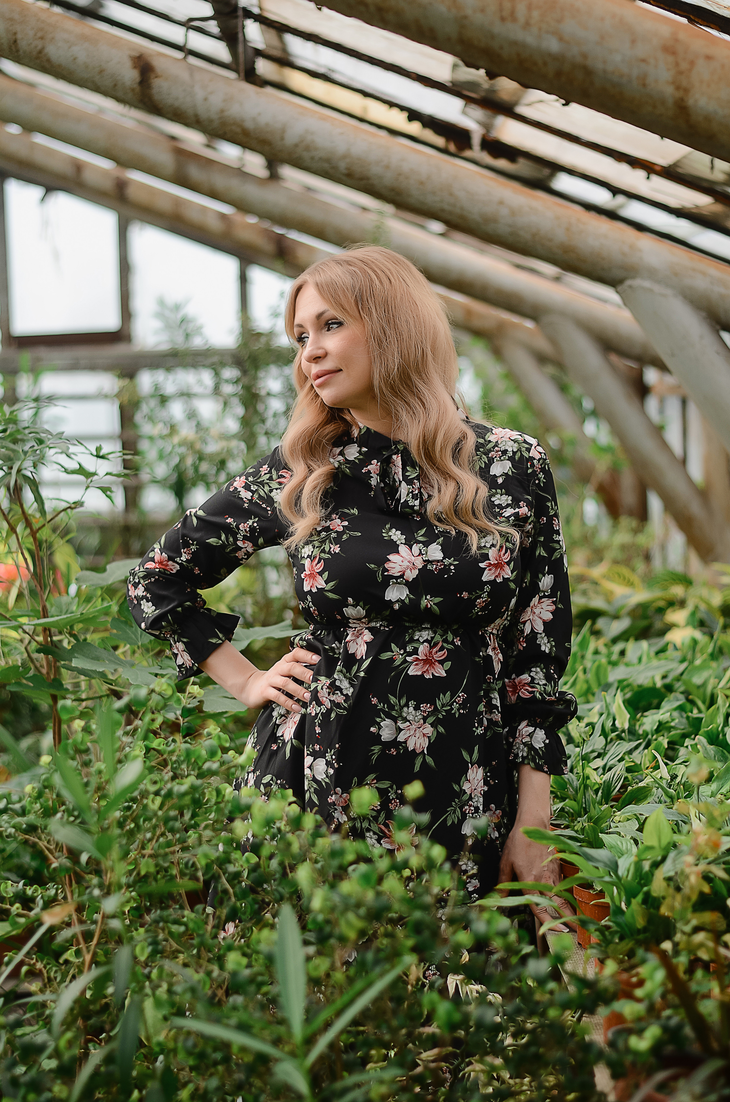 В теплицах. Thephoto-russia.ru