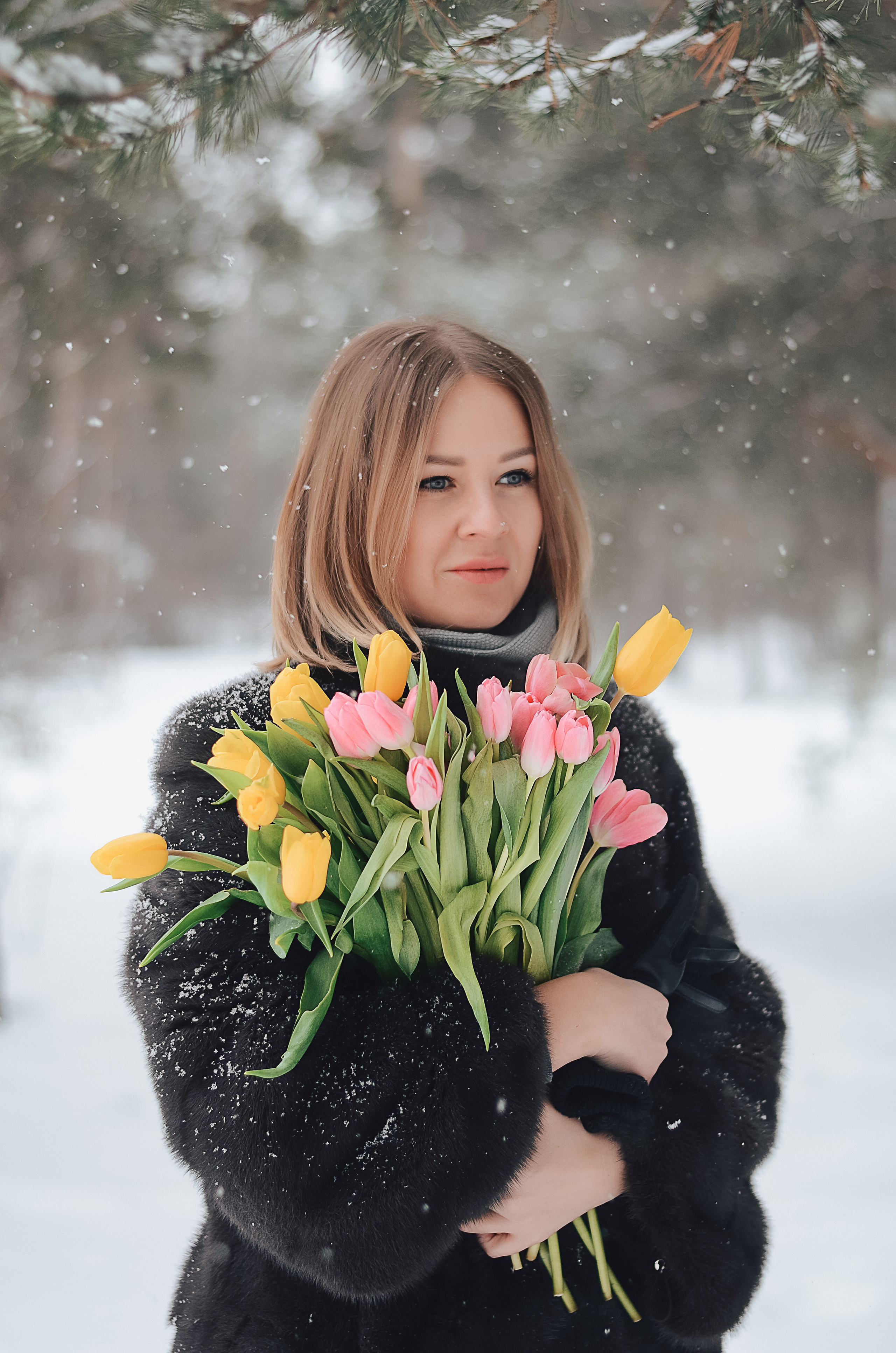 Зимний фотопроект Тюльпаны. Thephoto-russia.ru