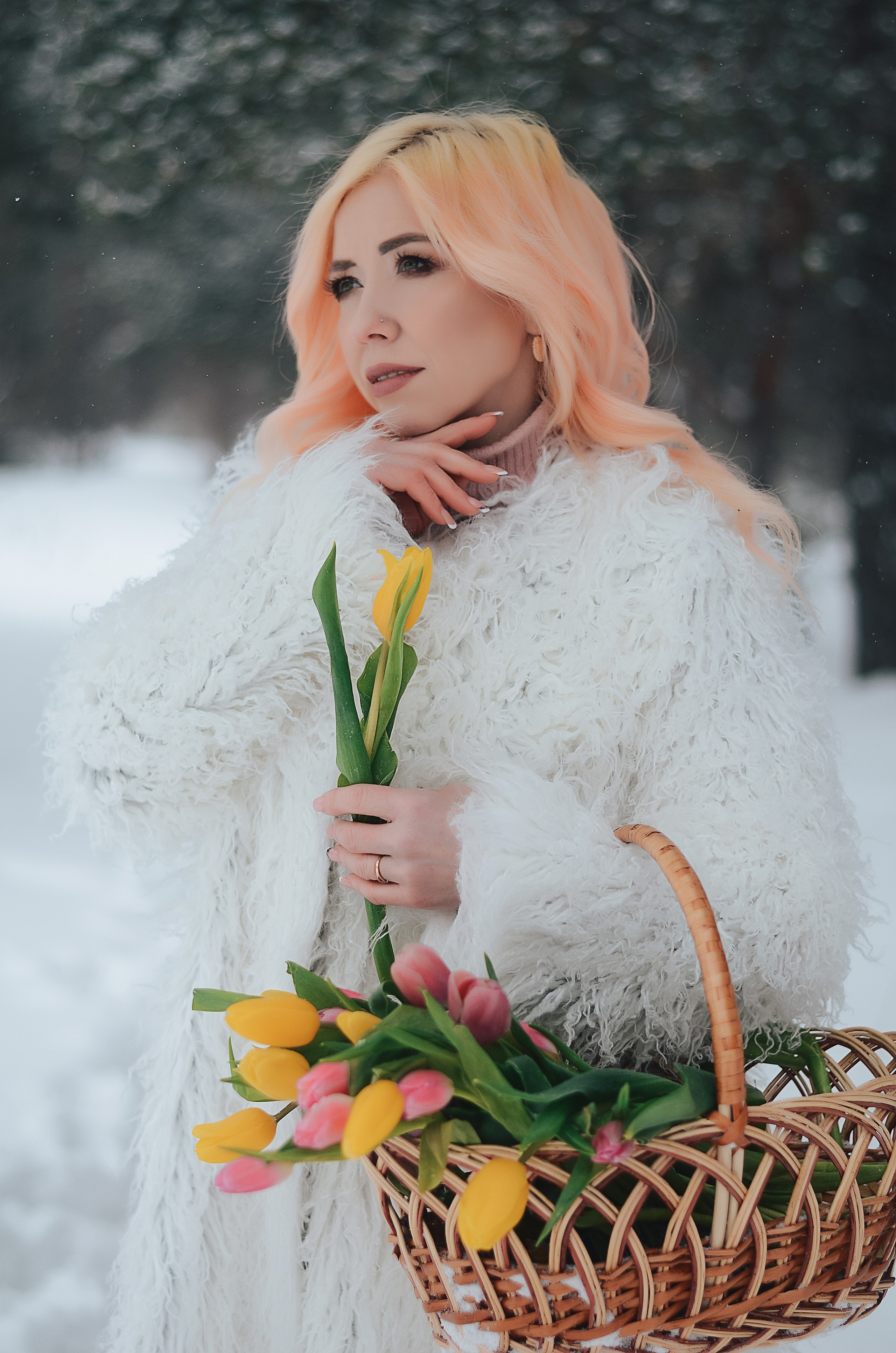 Зимний фотопроект Тюльпаны. Thephoto-russia.ru