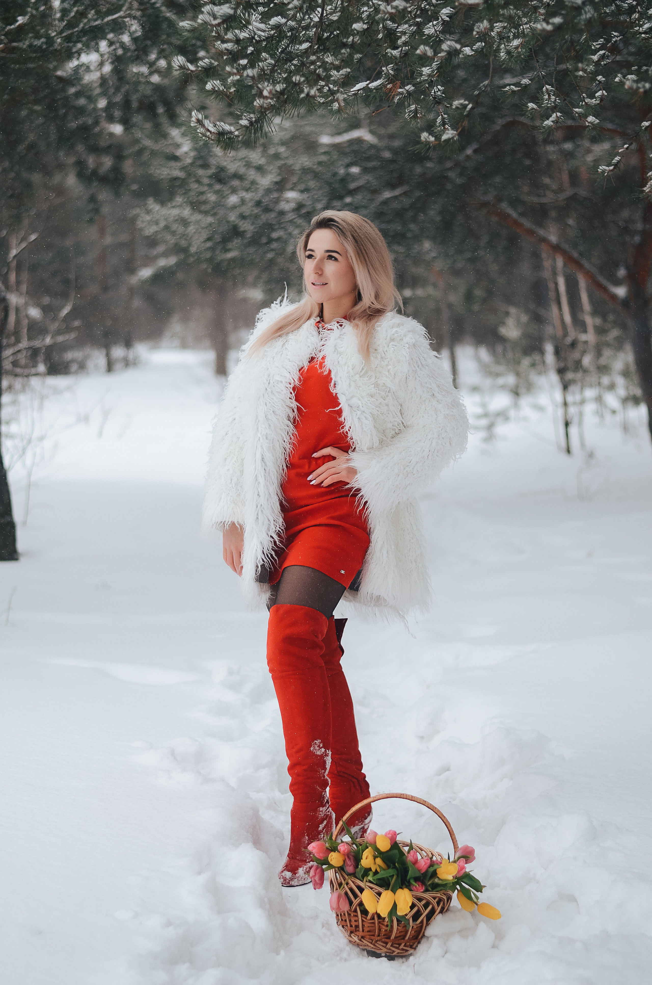 Зимний фотопроект Тюльпаны. Thephoto-russia.ru