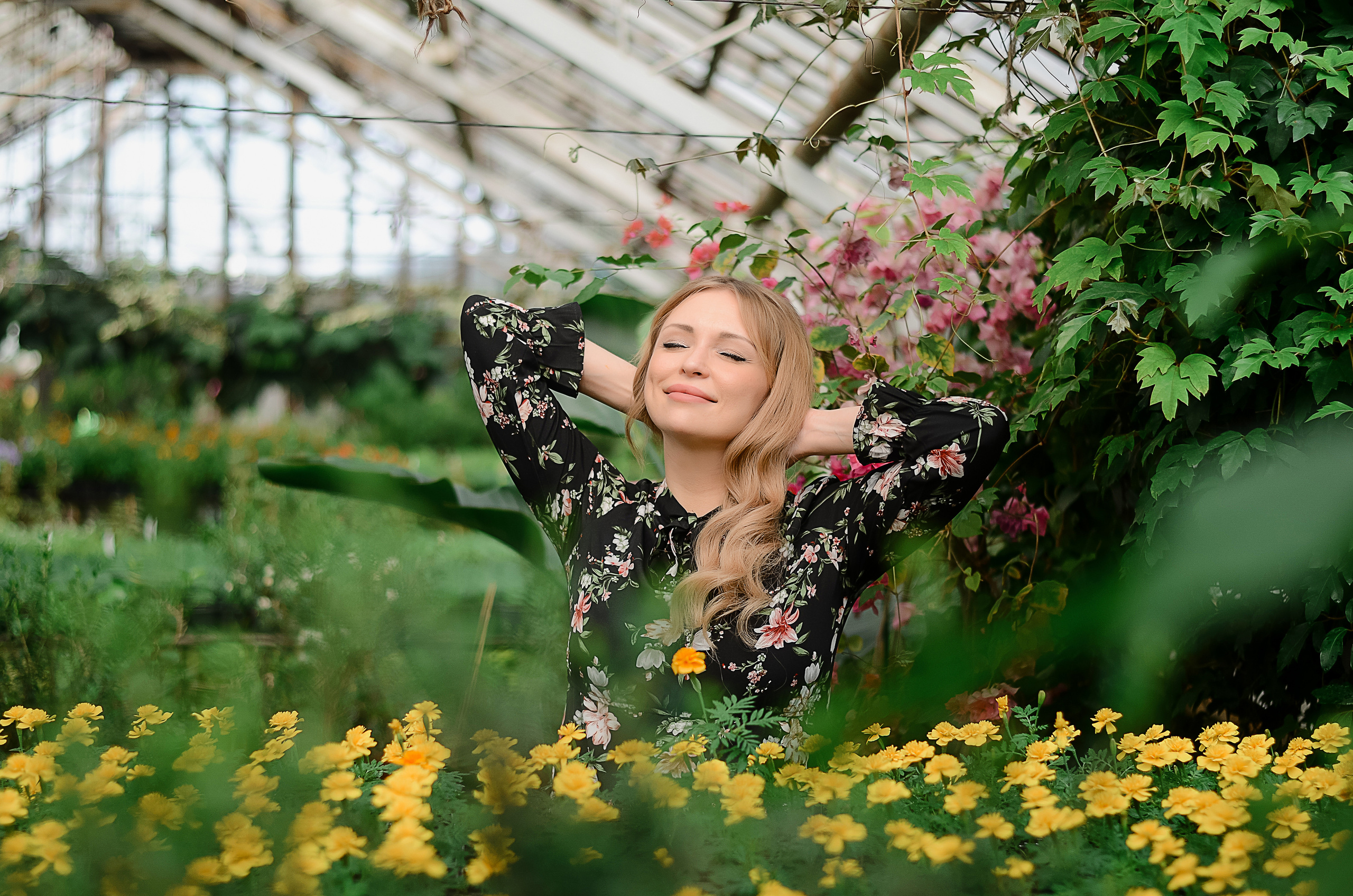 В теплицах. Thephoto-russia.ru