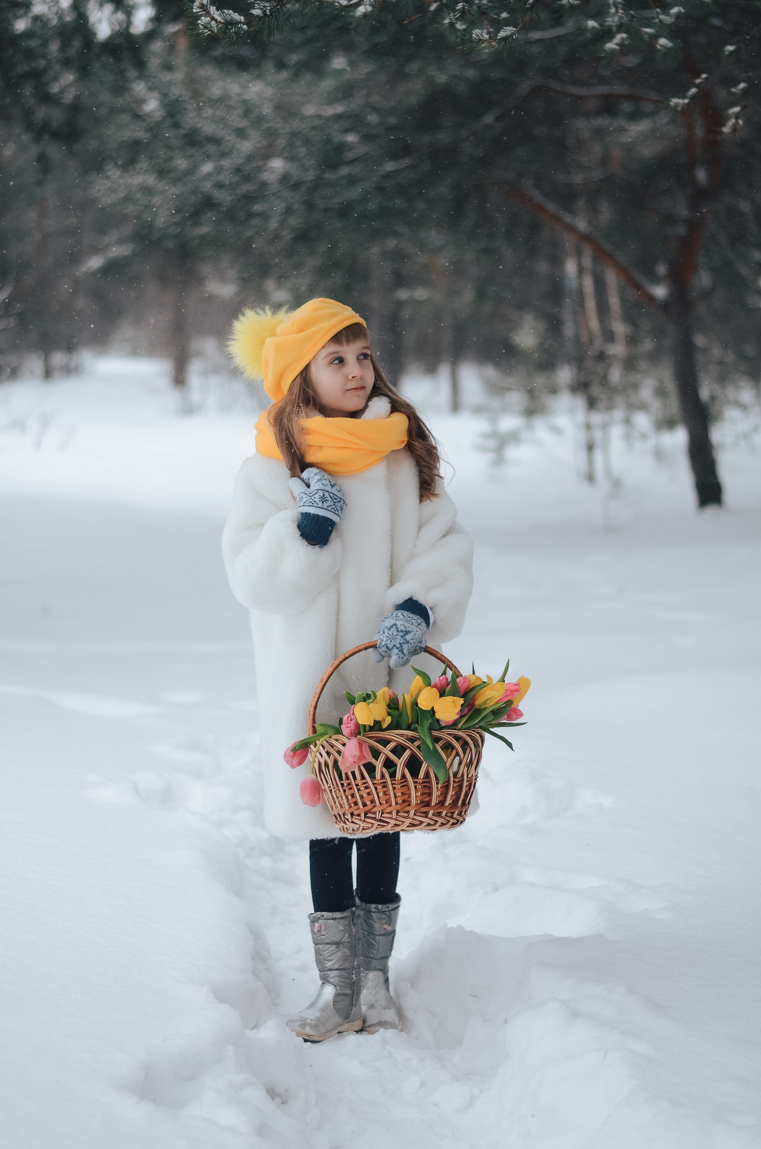 Зимний фотопроект Тюльпаны. Thephoto-russia.ru