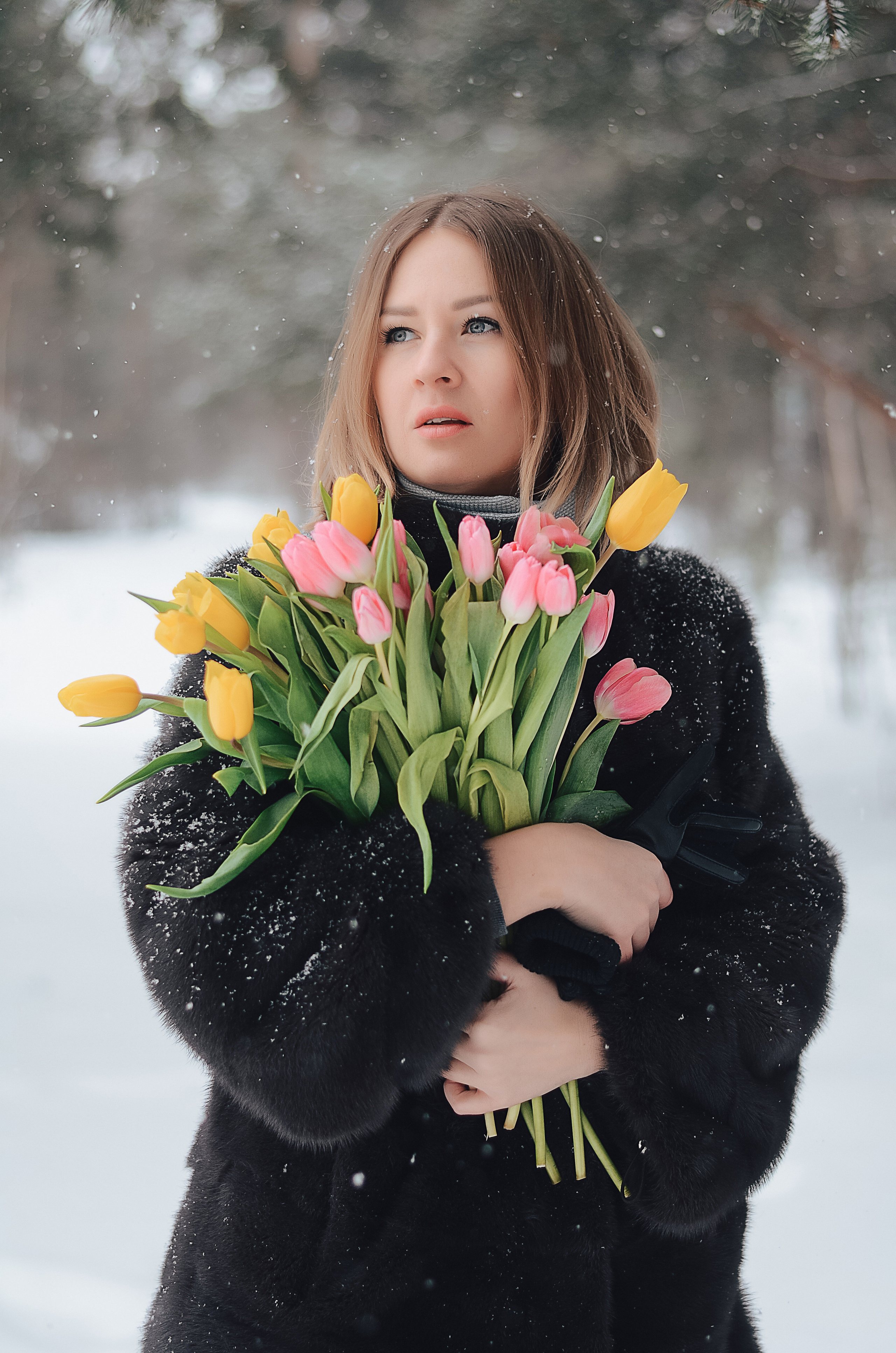 Зимний фотопроект Тюльпаны. Thephoto-russia.ru