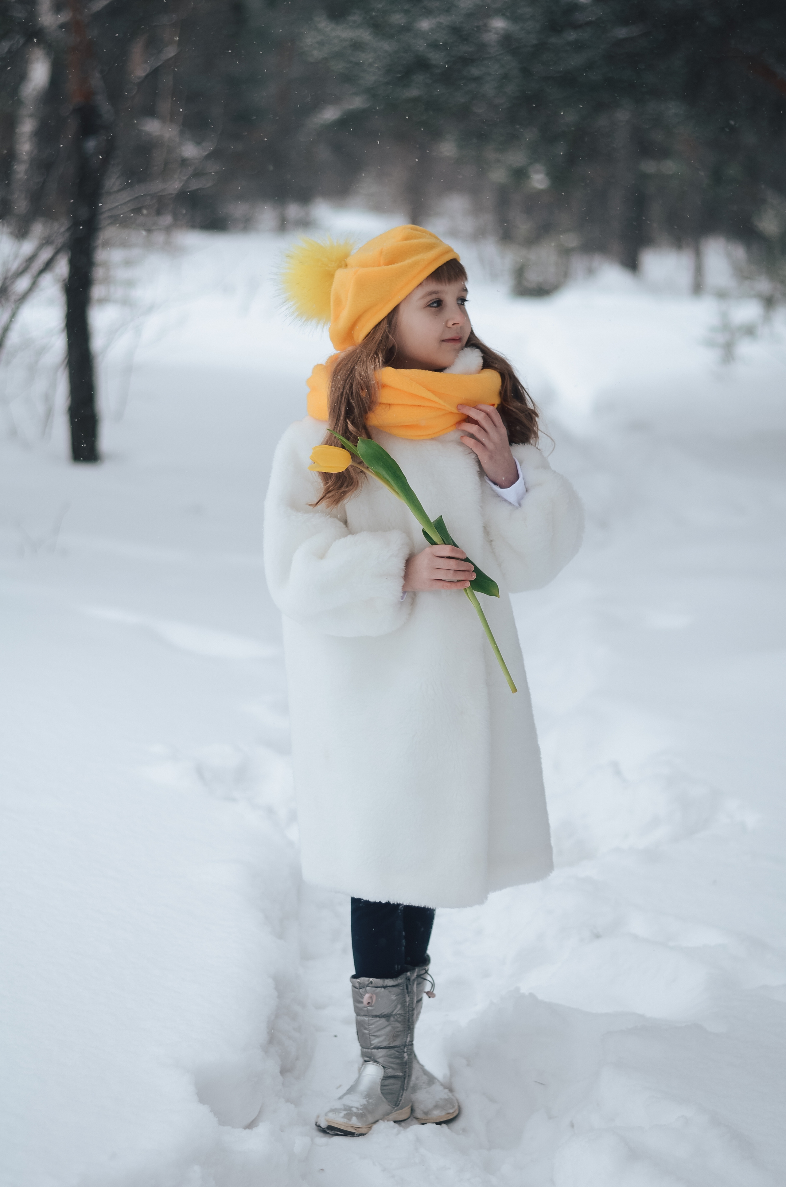 Зимний фотопроект Тюльпаны. Thephoto-russia.ru