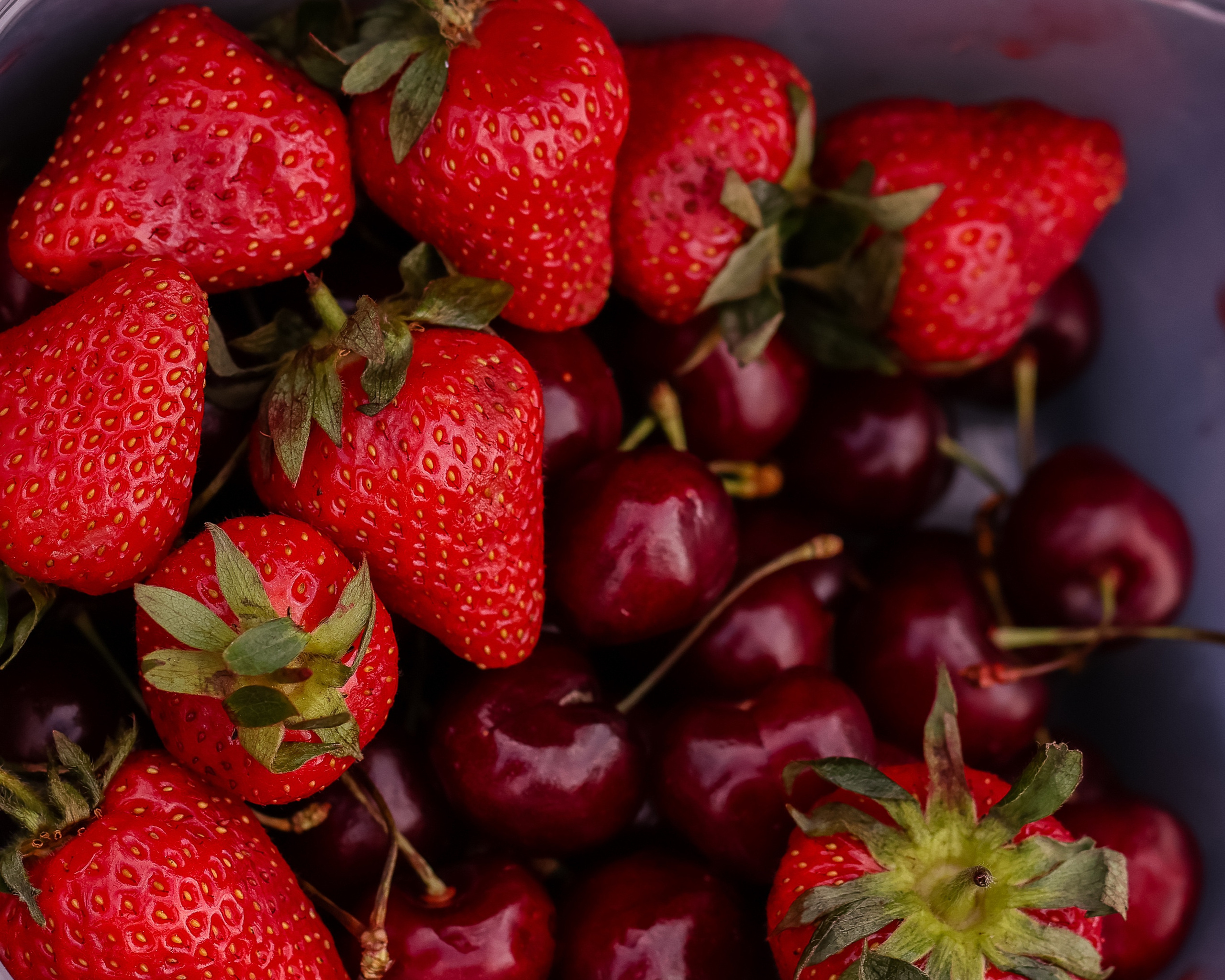Дружба — это чудо. Семейный фотограф в Вышнем Волочке — Ульяна Иванова | Фотосессии для всей семьи