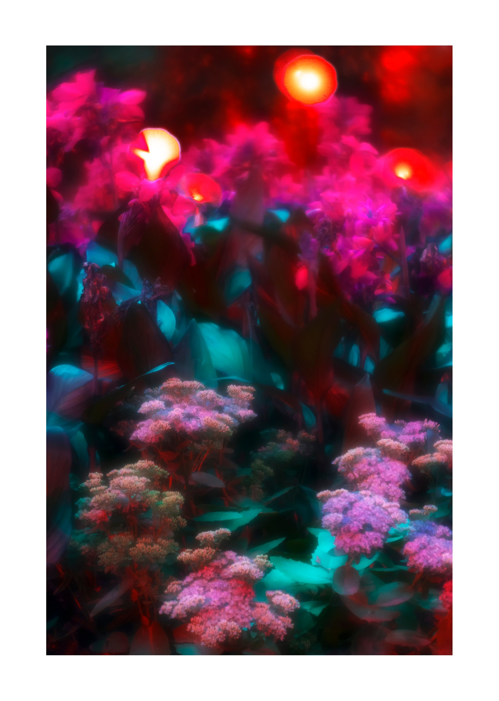 Night flowers. Vasiliy Riabovol — Fine Art Photographer | Time, Space, and Silence