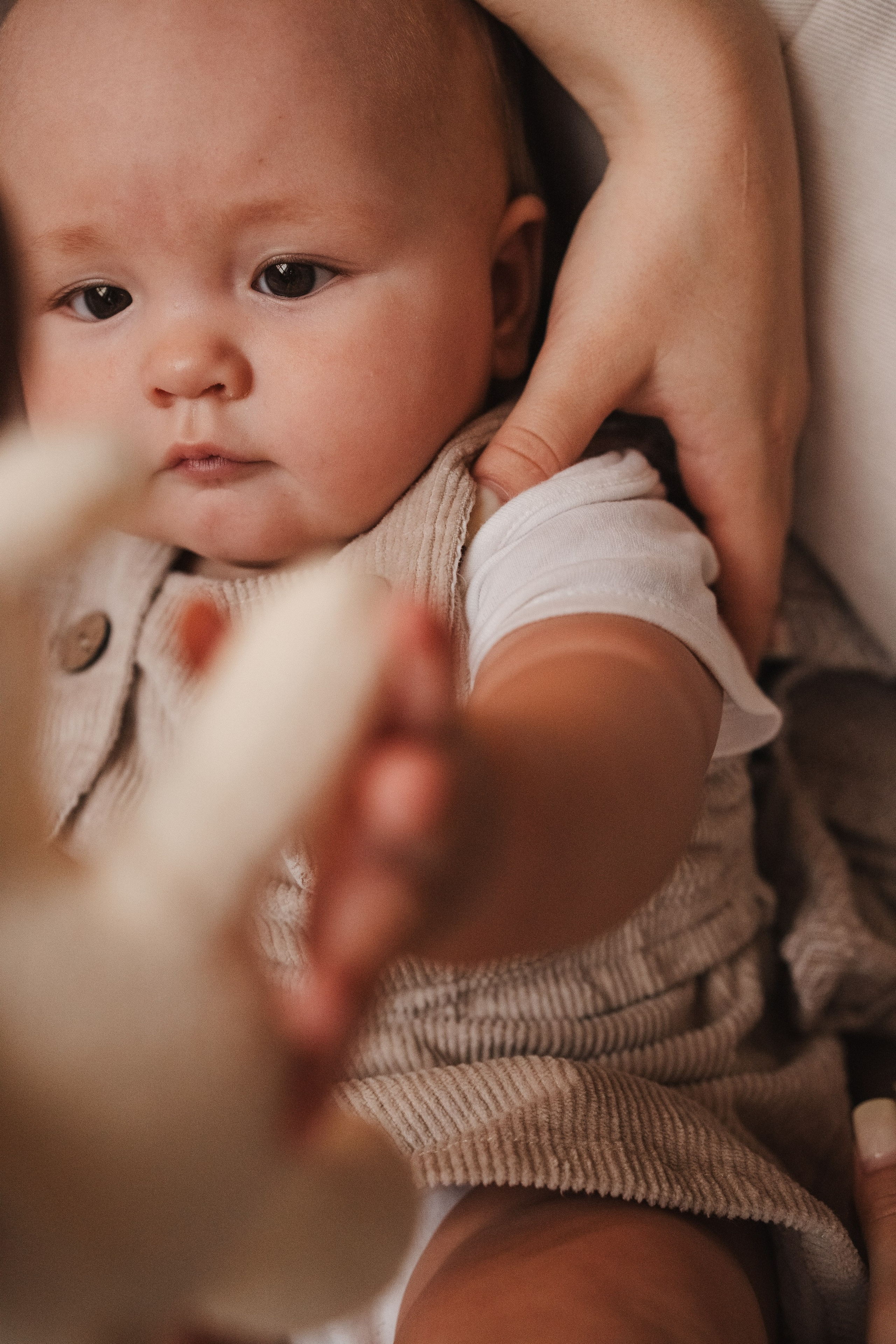 Студийная серия Новый Год. Alenasokolowa.ru