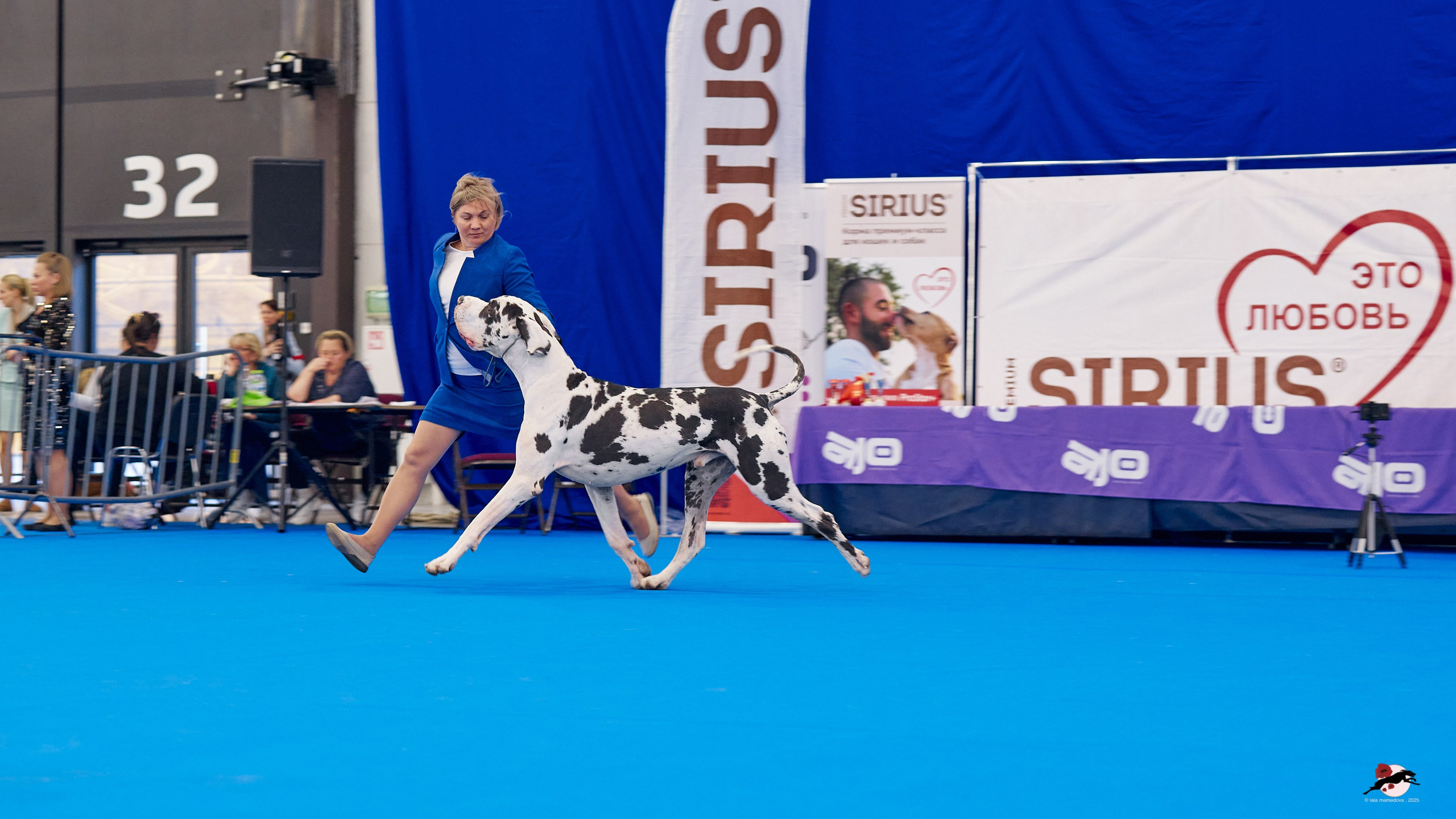 27.04.2025 | "Петербург-Элита 2025" & «КУБОК «ЭЛИТЫ»-2025»