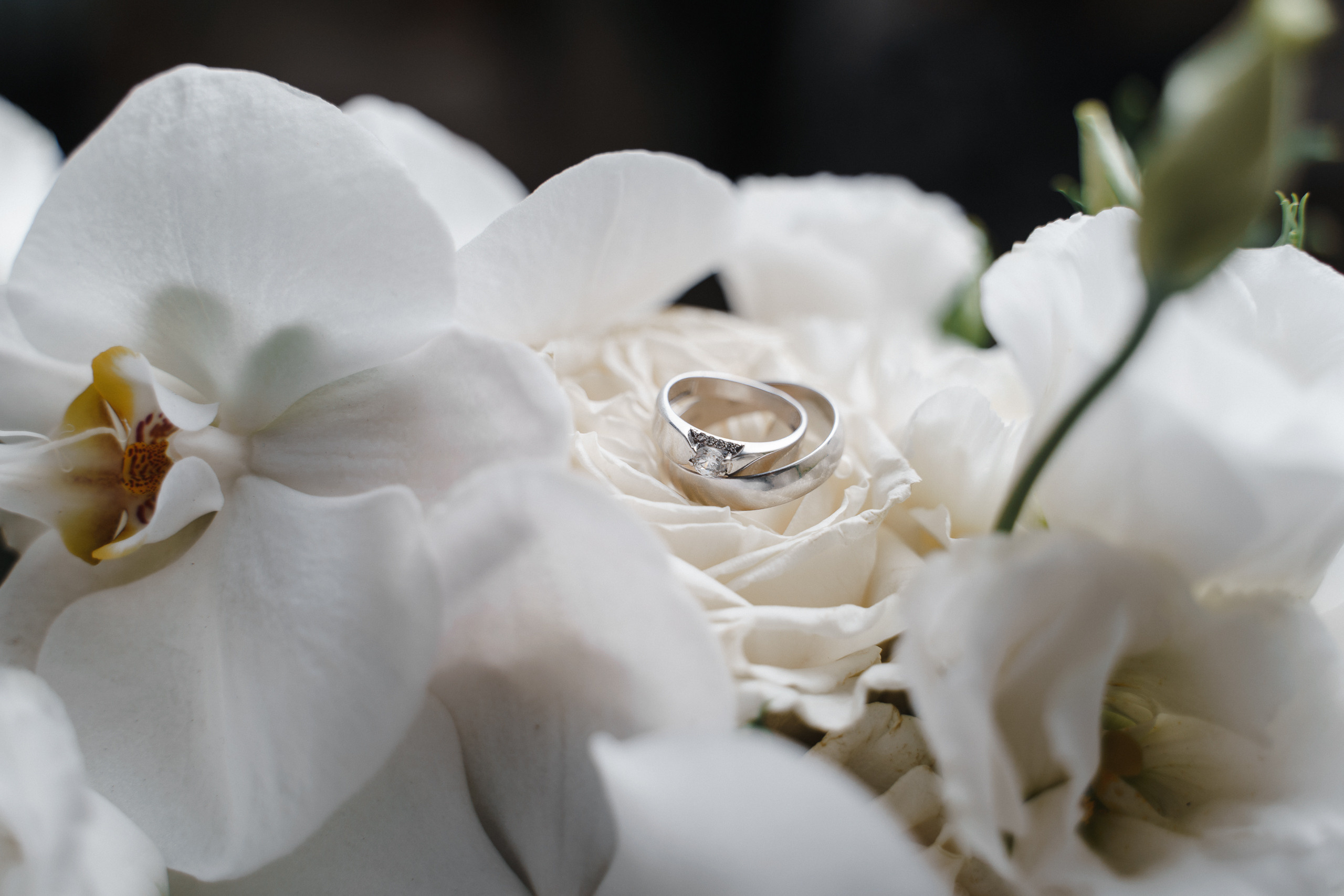 Свадебные. Свадебный и семейный фотограф в Санкт-Петербурге Дмитрий Панин