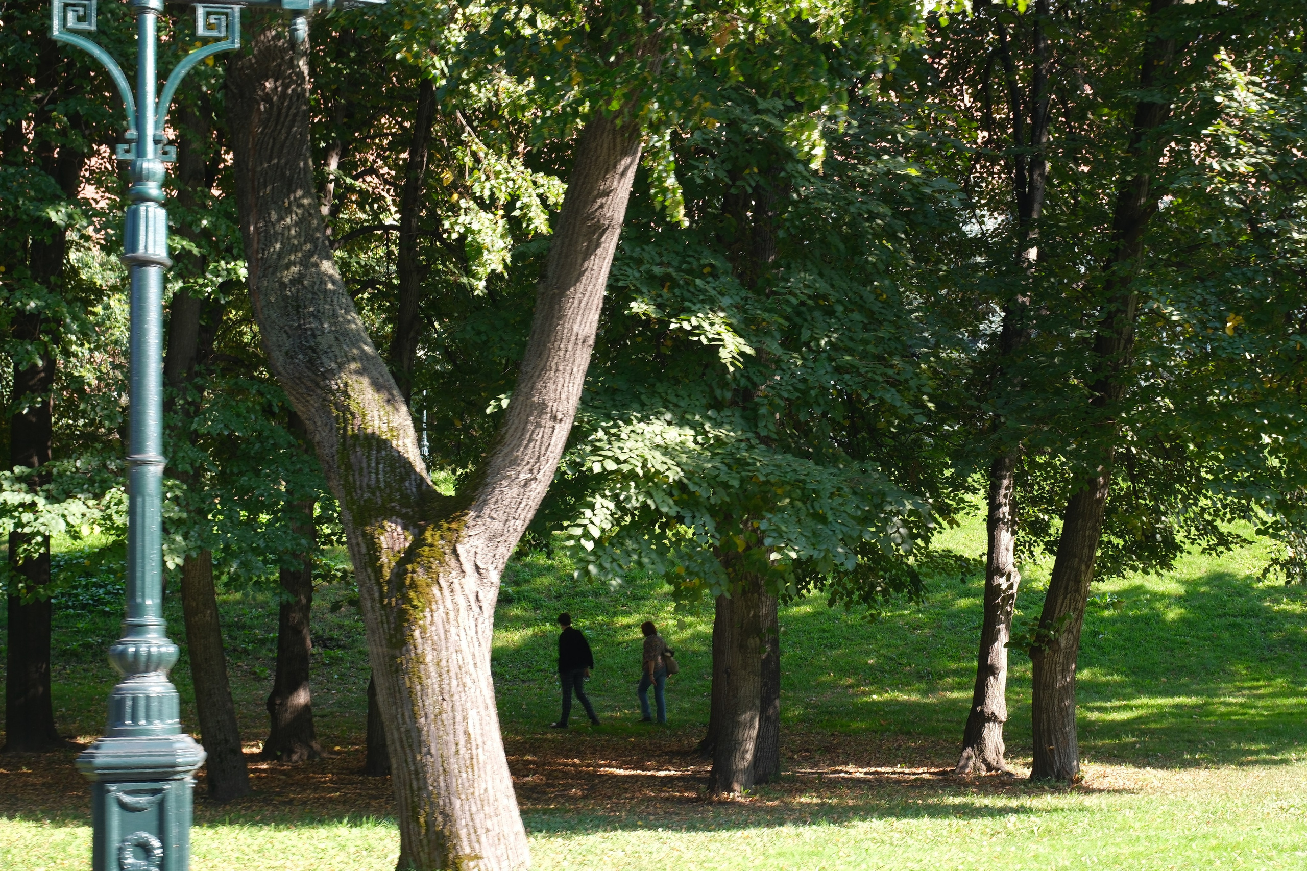 День города 2024. Улица, люди, жизнь…