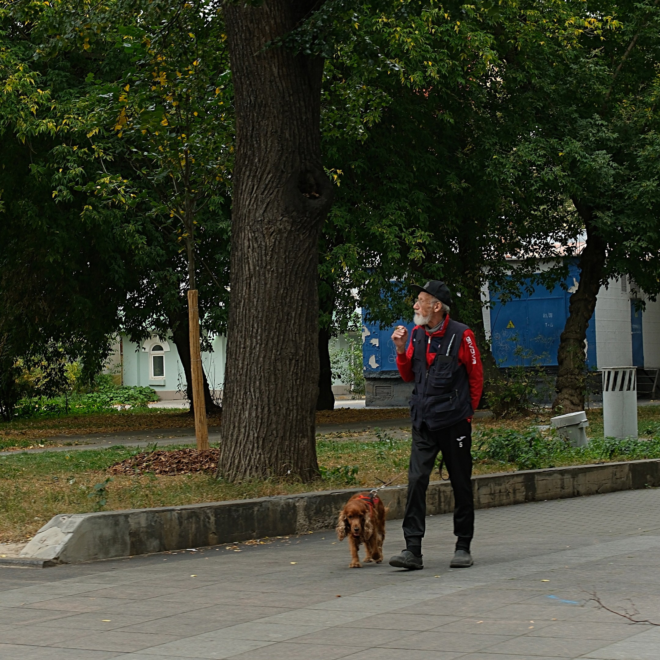 Сентябрь 2025. Улица, люди, жизнь…