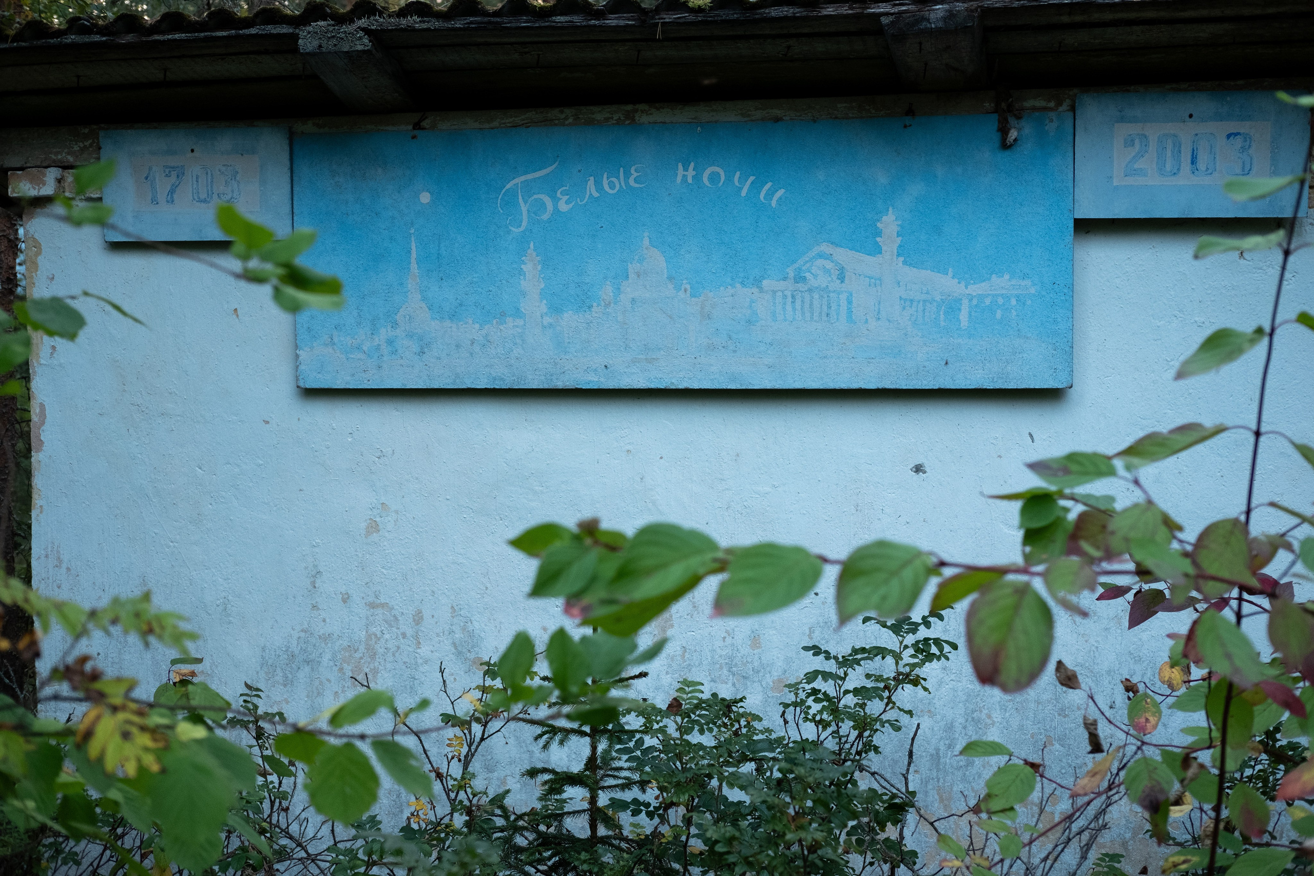 Пионерлагеря. Курочкина Софья