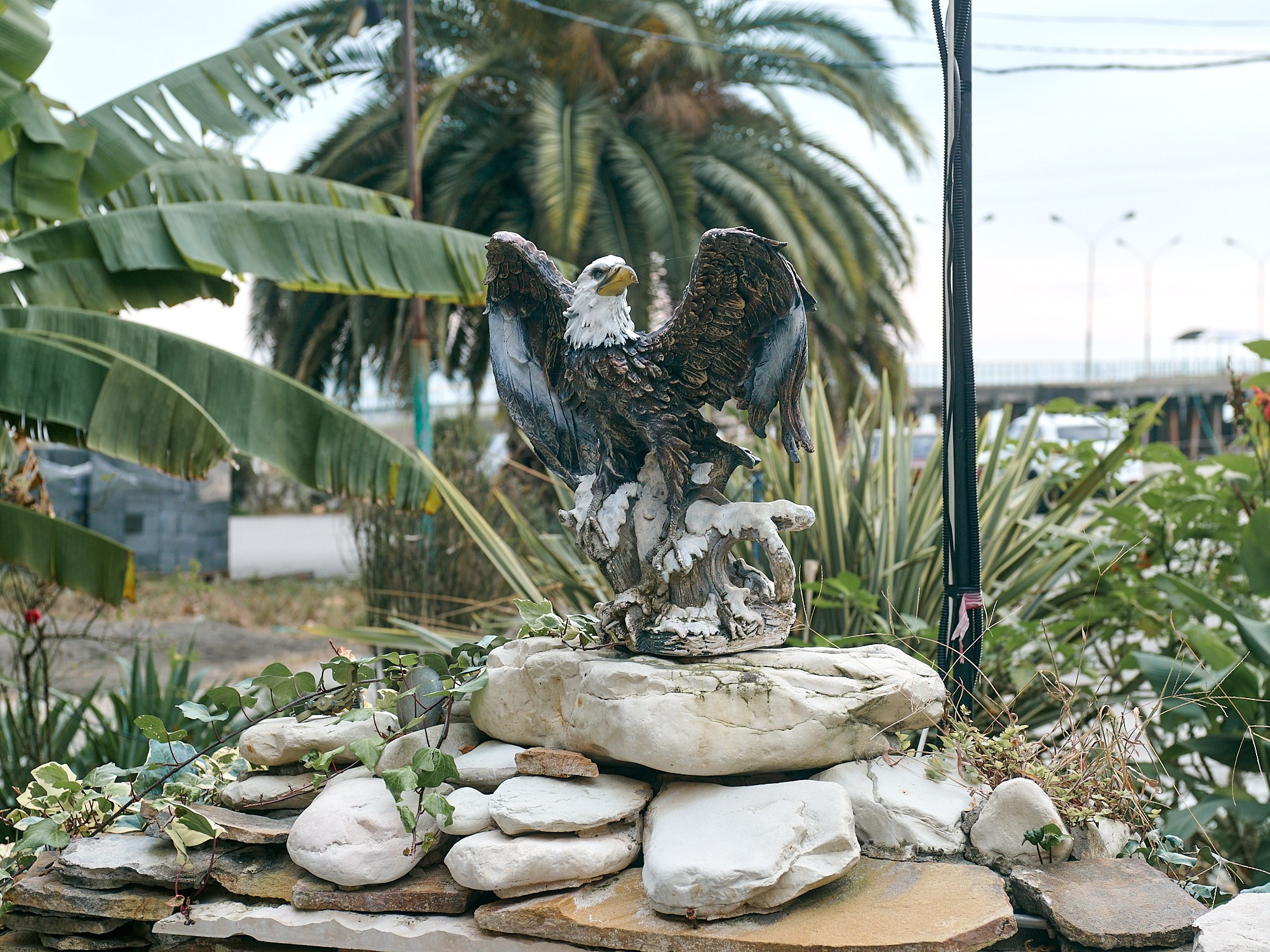 Гагра, Абхазия. Декабрь 2024. Фотографии отовсюду и обо всем