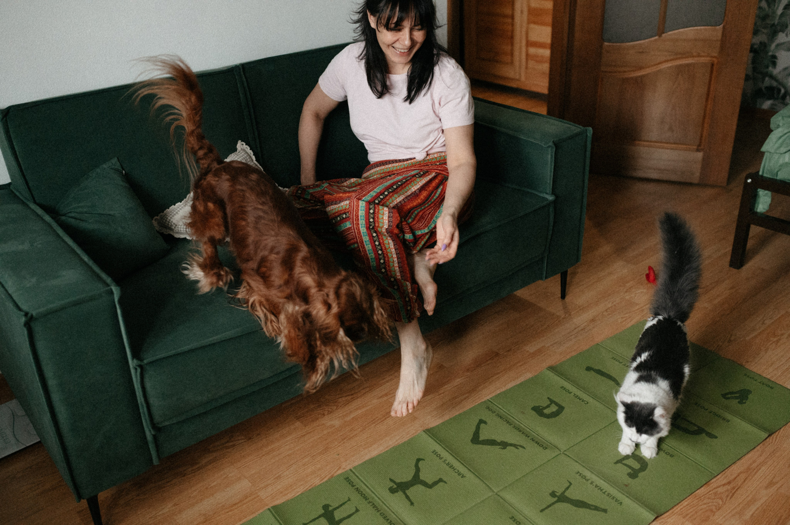 Оля и её меховая банда. Фотограф анималист в Москве Ольга Агушева