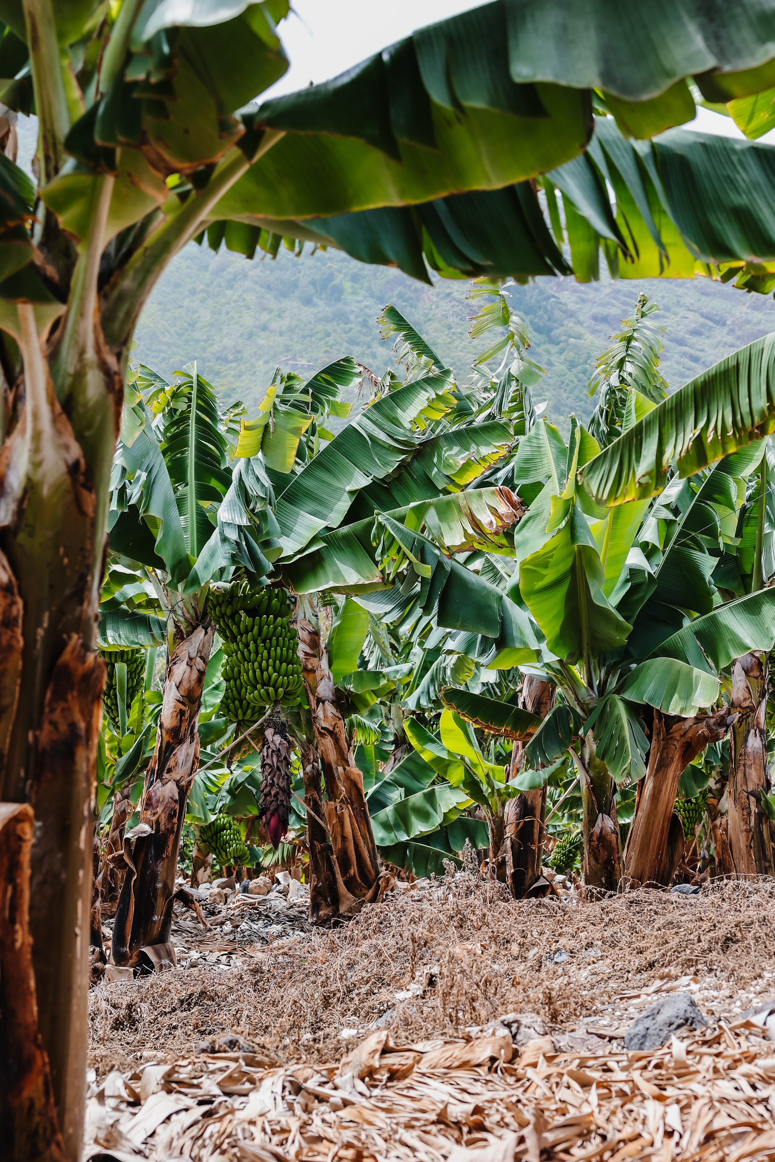 Casa Catuja. Фотограф Виктория Волкова. Москва