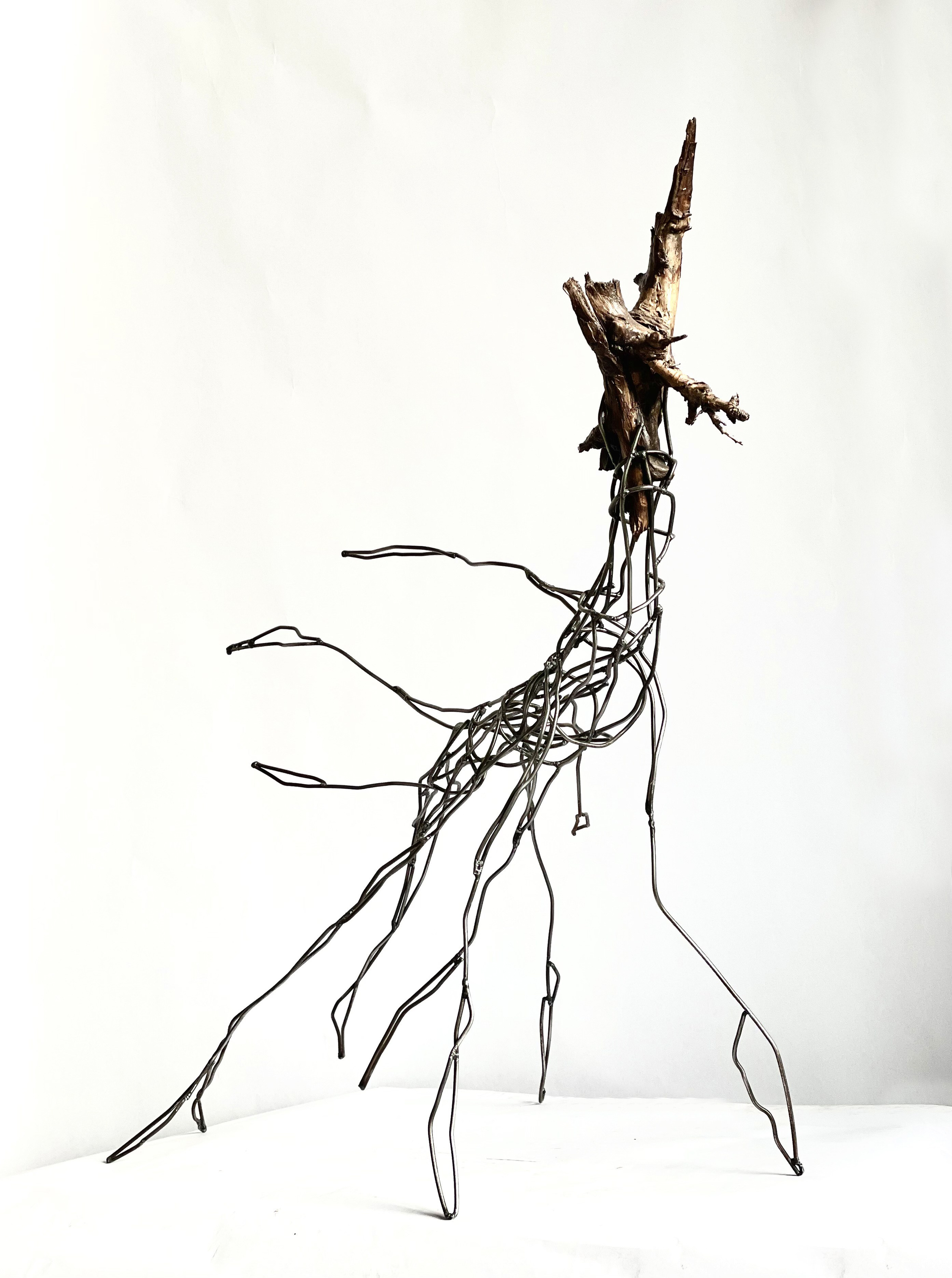 Серия «пойманные лесом» / series «Caught by the Forest». Художник — скульптор Антонина Фатхуллина