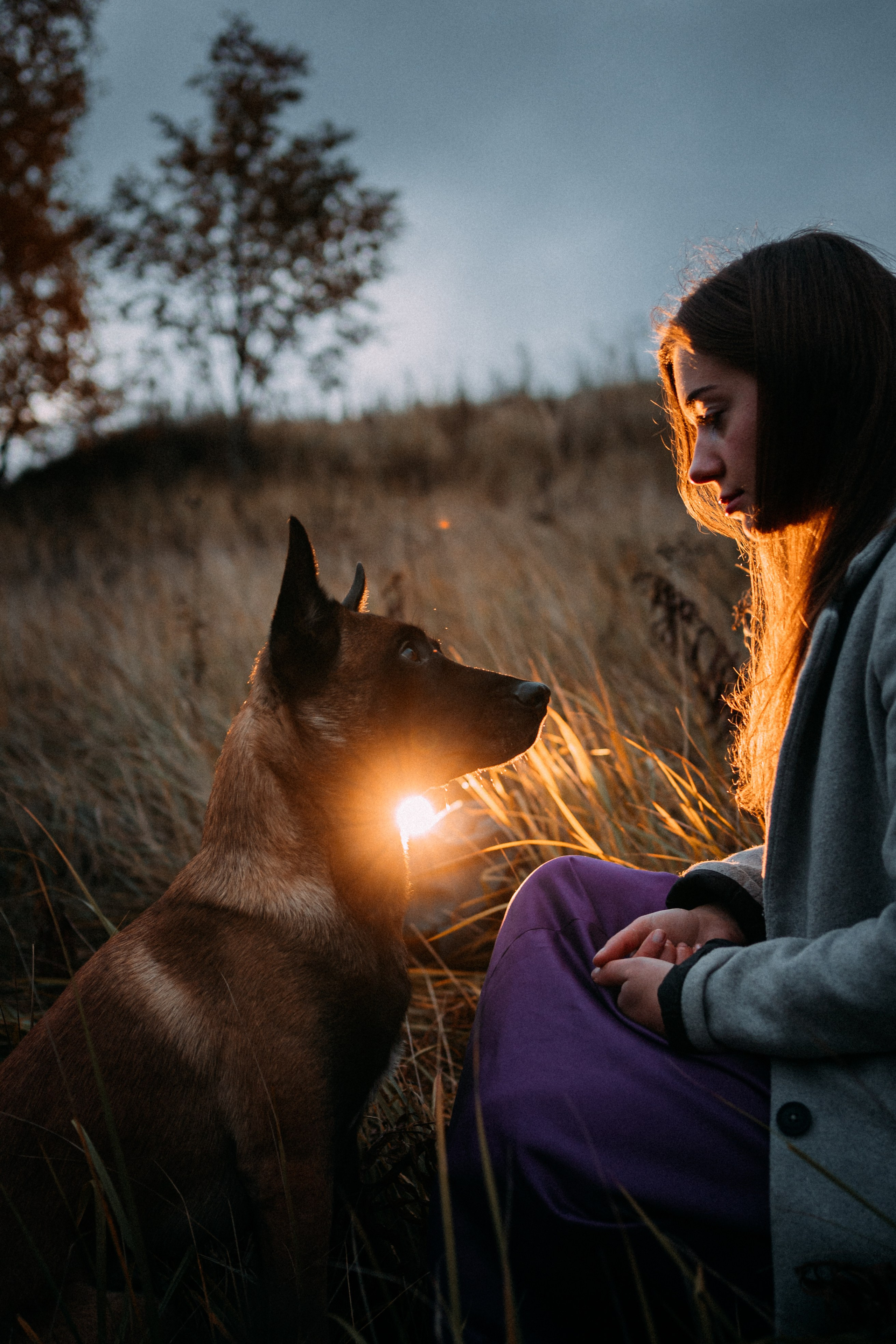 Вика и Хельс. Фотограф-анималист Анастасия Большакова