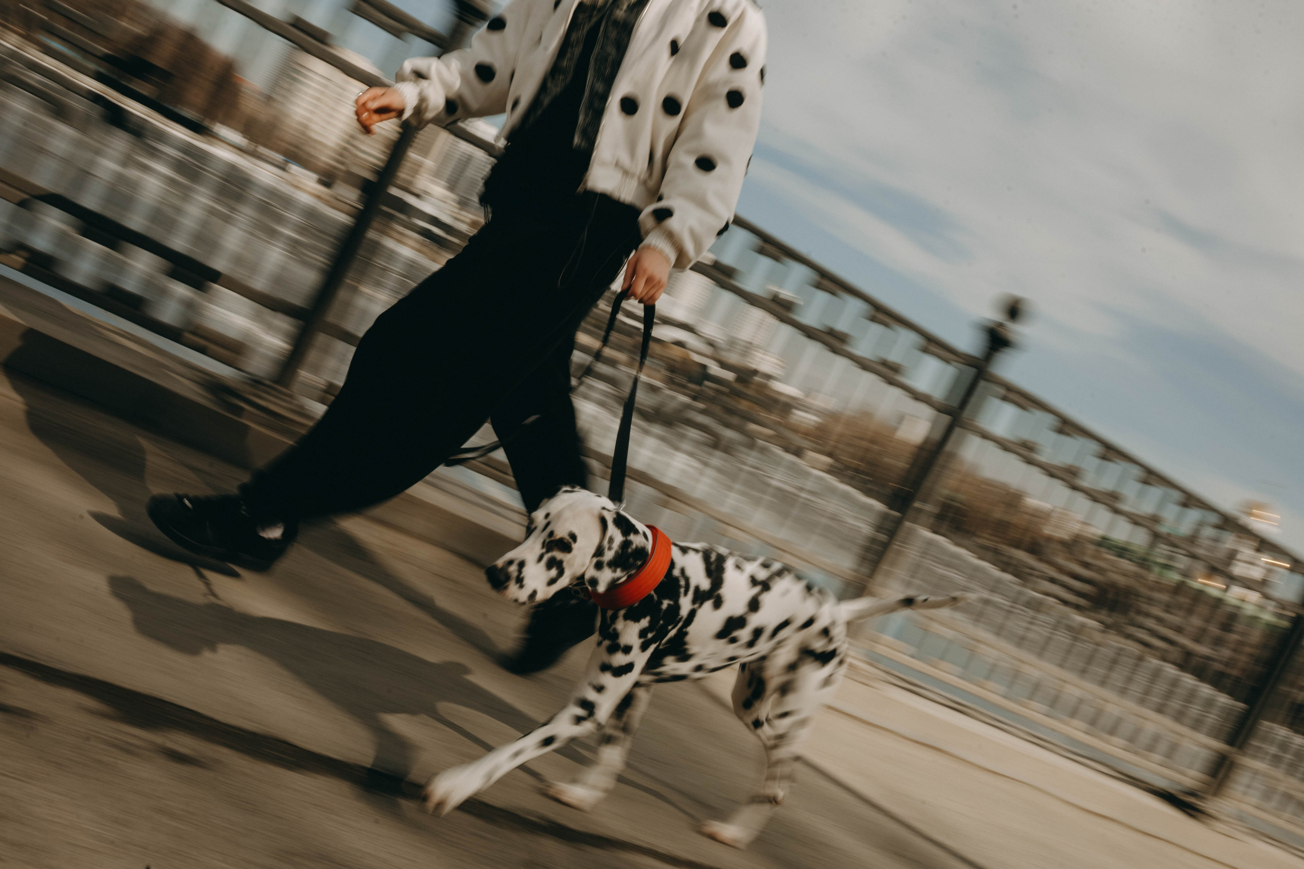 Диана и Лекса. Фотограф-анималист в Екатеринбурге | Кристина