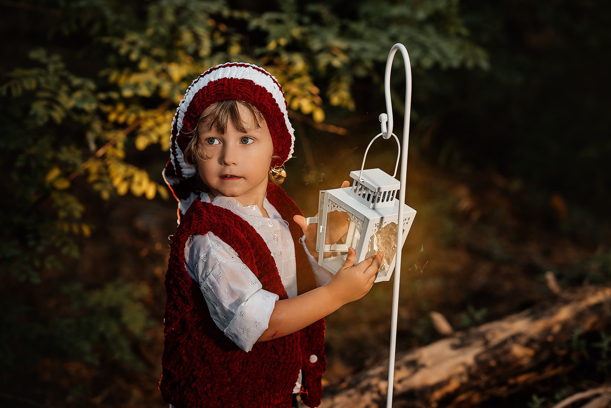 Лесной гномик. Свадебный и семейный фотограф Нина Полеско