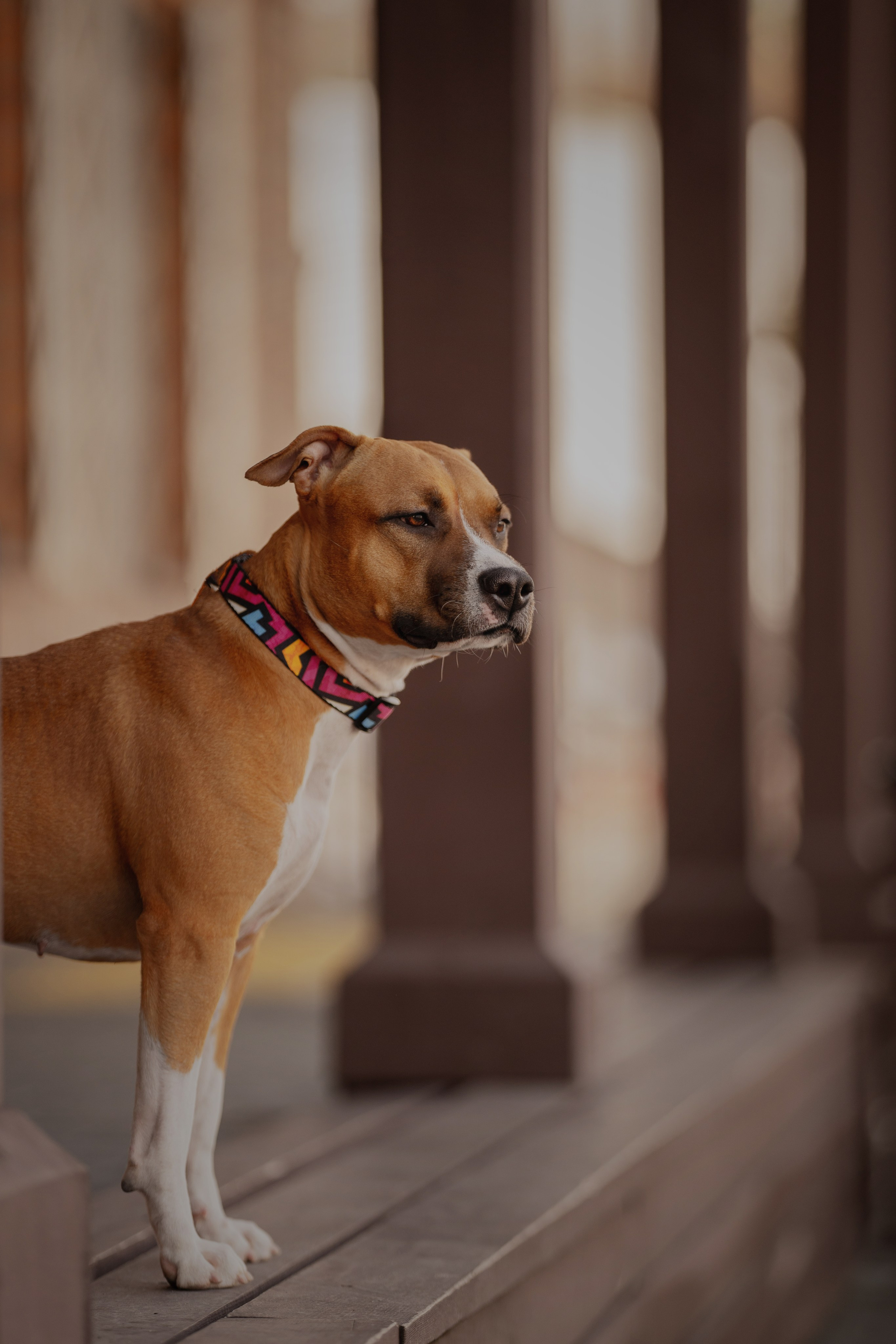 Луна. Kameramotor74