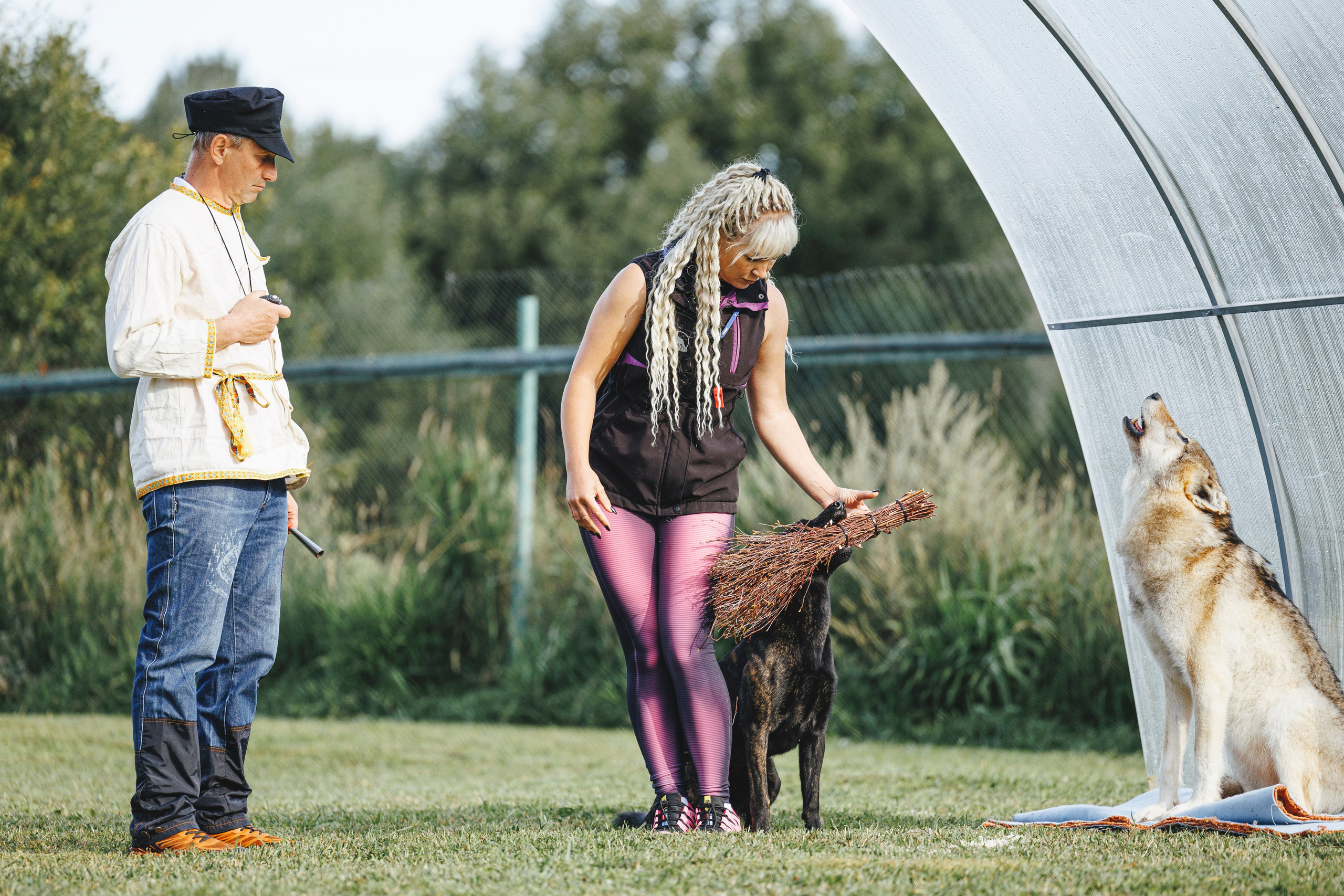 08.08.25-10.08.25 ЧР по мондьорингу г. Вологда. Фотограф-анималист Анна Маринич