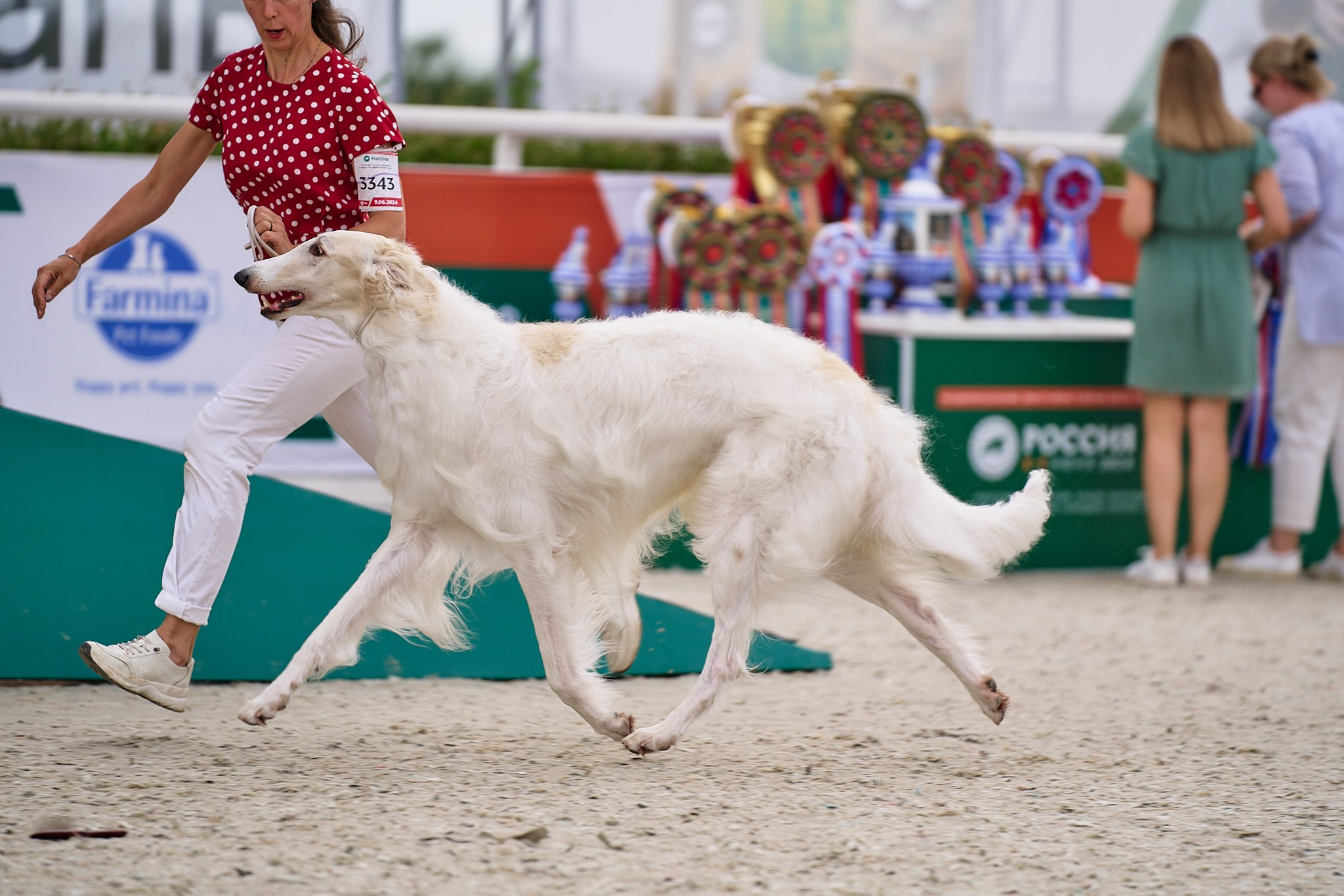 09.06.2024, «РОССИЯ. КУБОК МОСКВЫ 2024 & КУБОК ГОРОДОВ-ГЕРОЕВ»