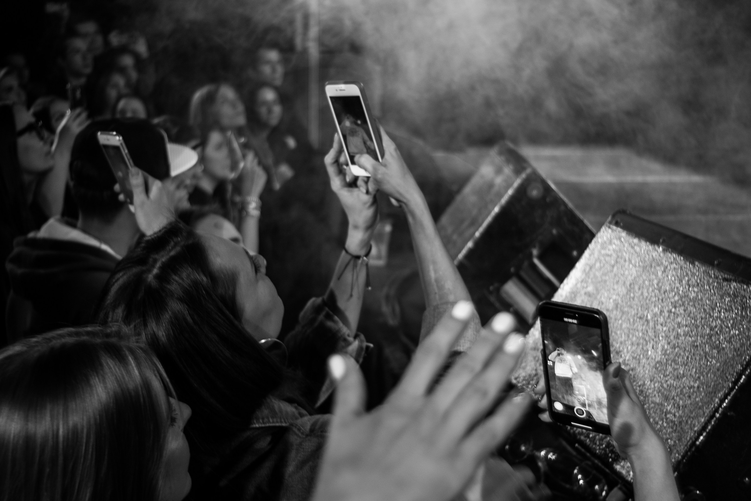 Krec. Твой фотограф — Полосатый кот