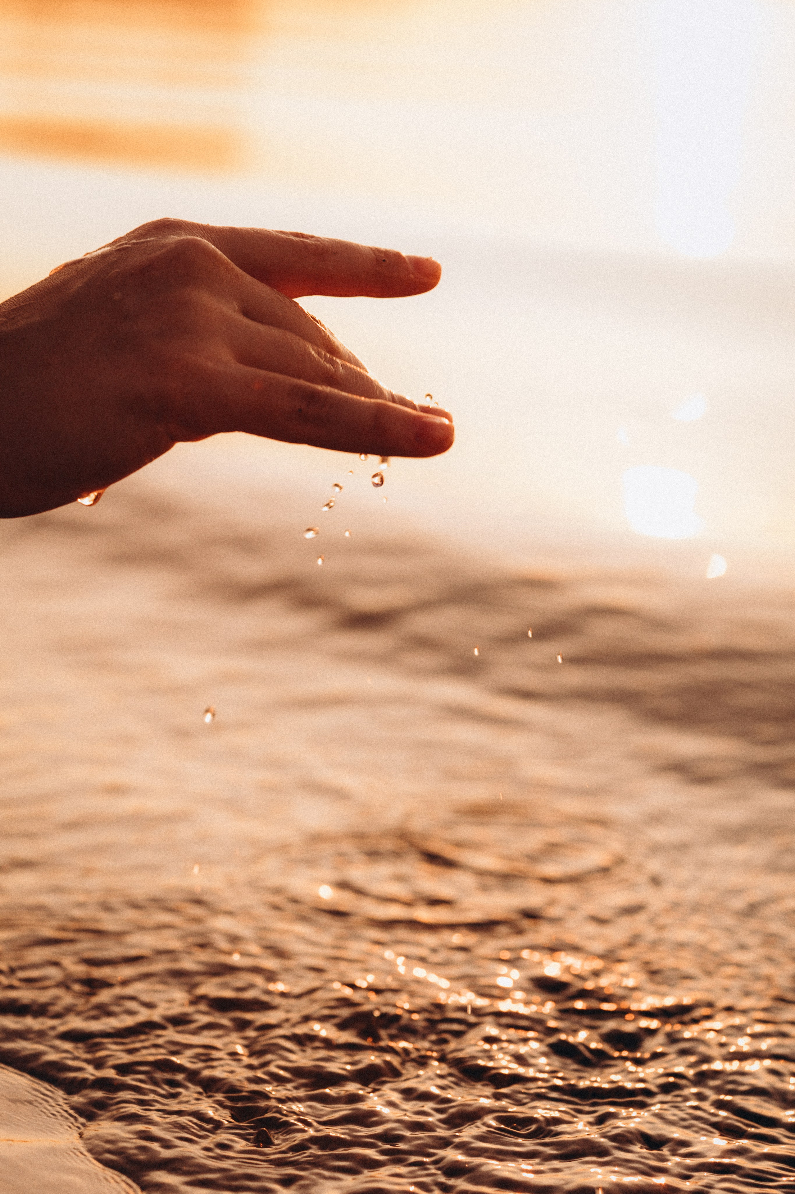 Мама сыновей. Евгения Пелипас