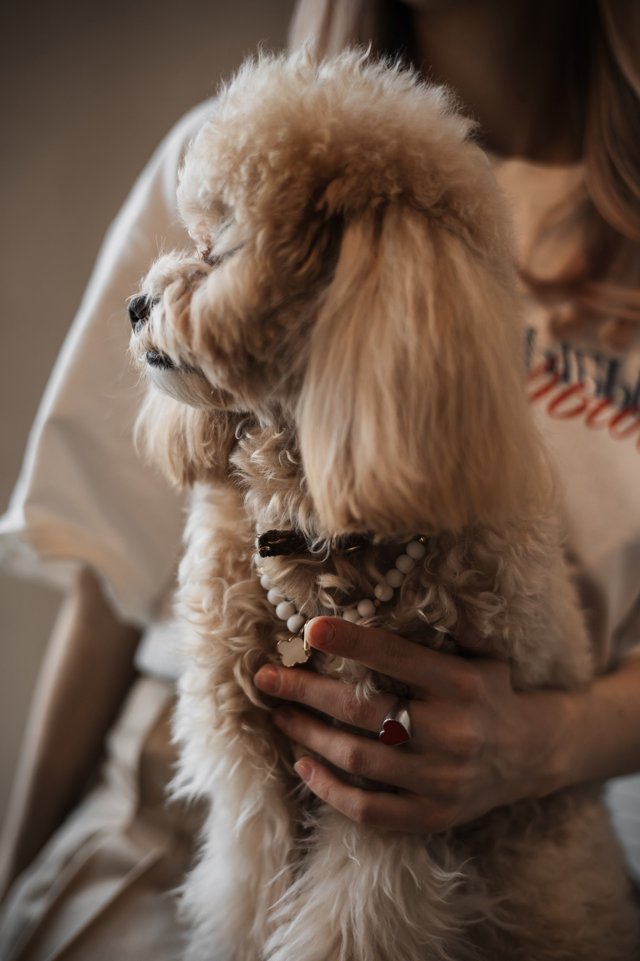 Алина — прогулка