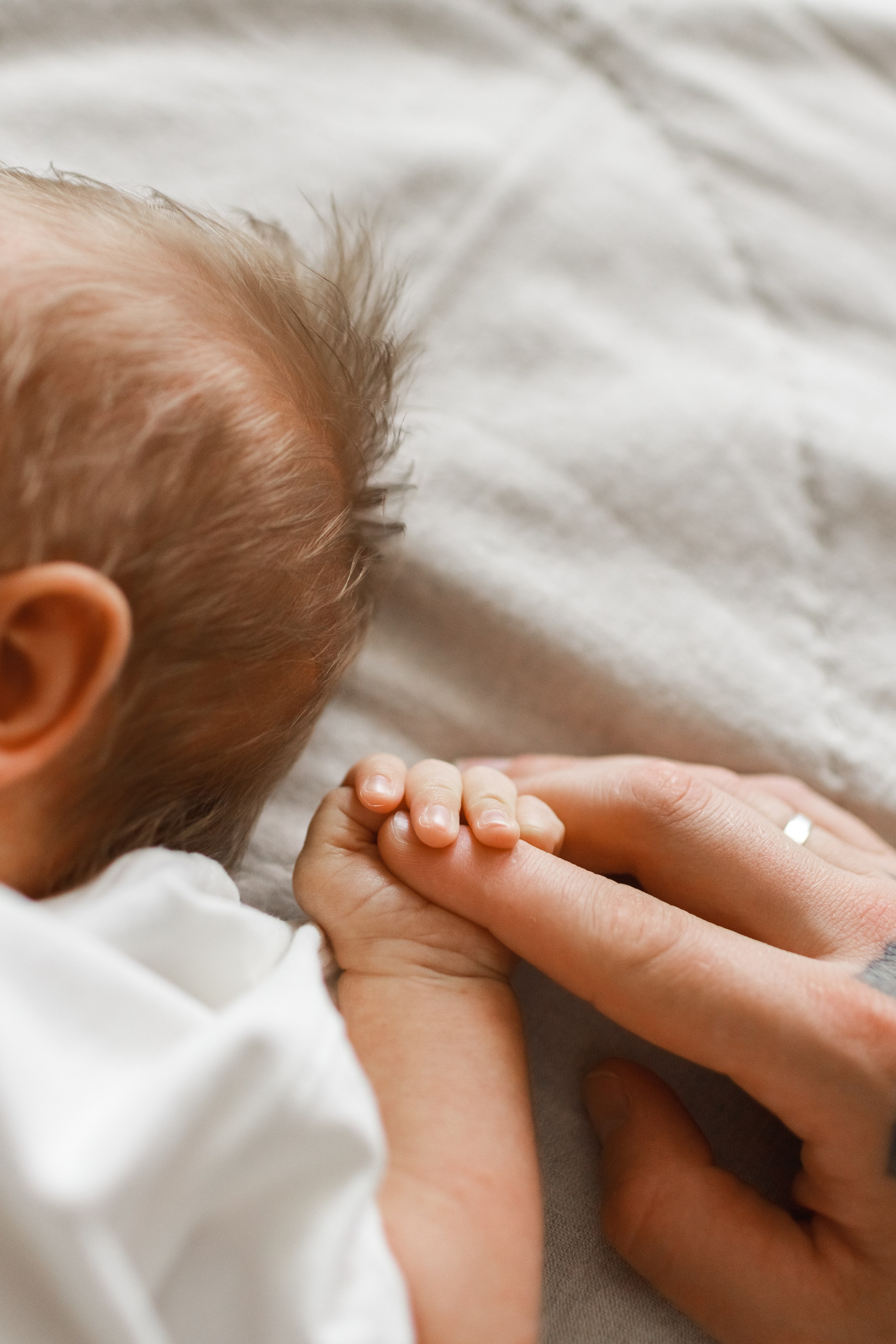 Новорожденные. Детский и семейный фотограф в Краснодаре Альбина Морозова