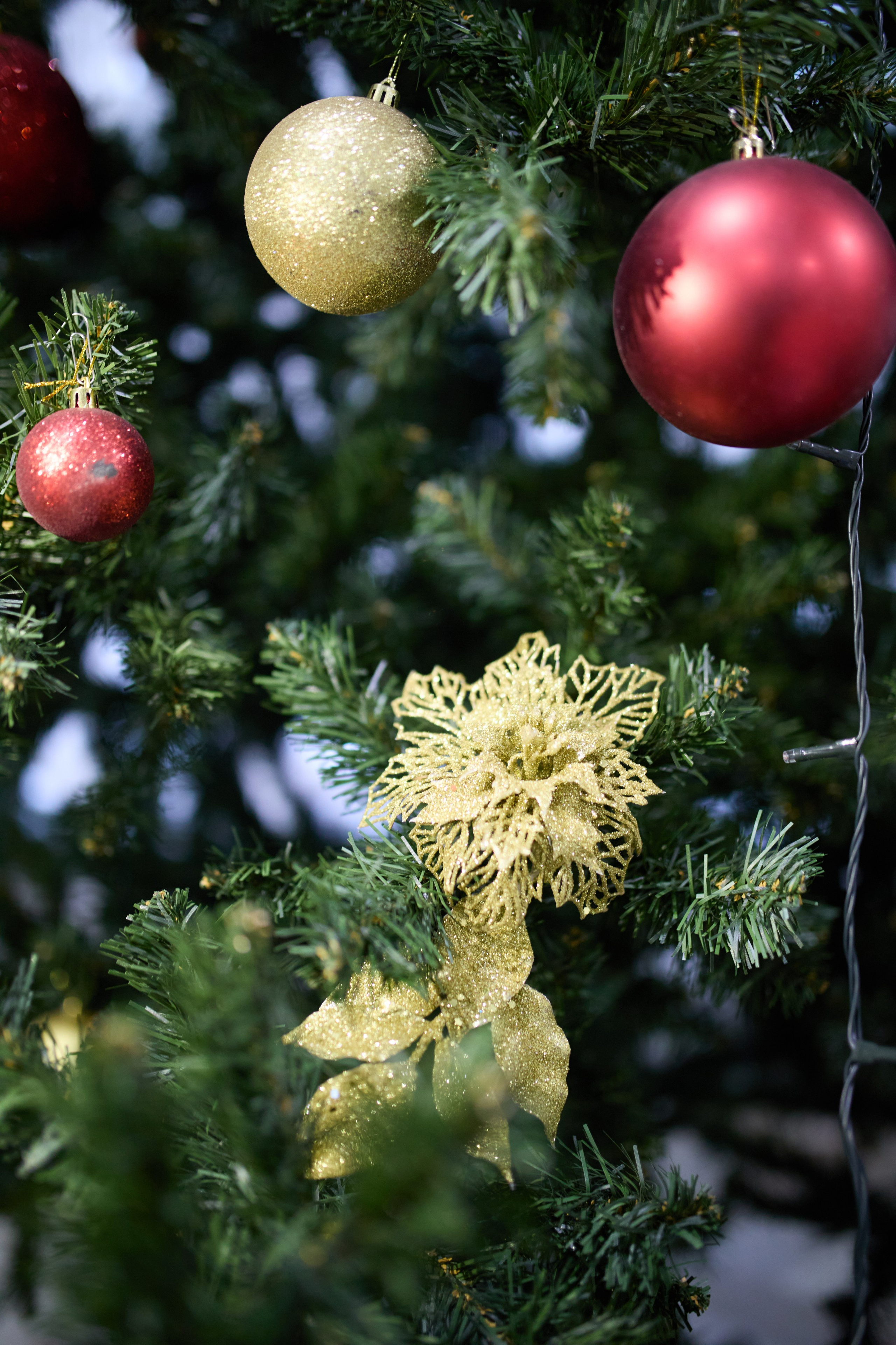 Корпоративные мероприятия. Репортажный фотограф в Самаре