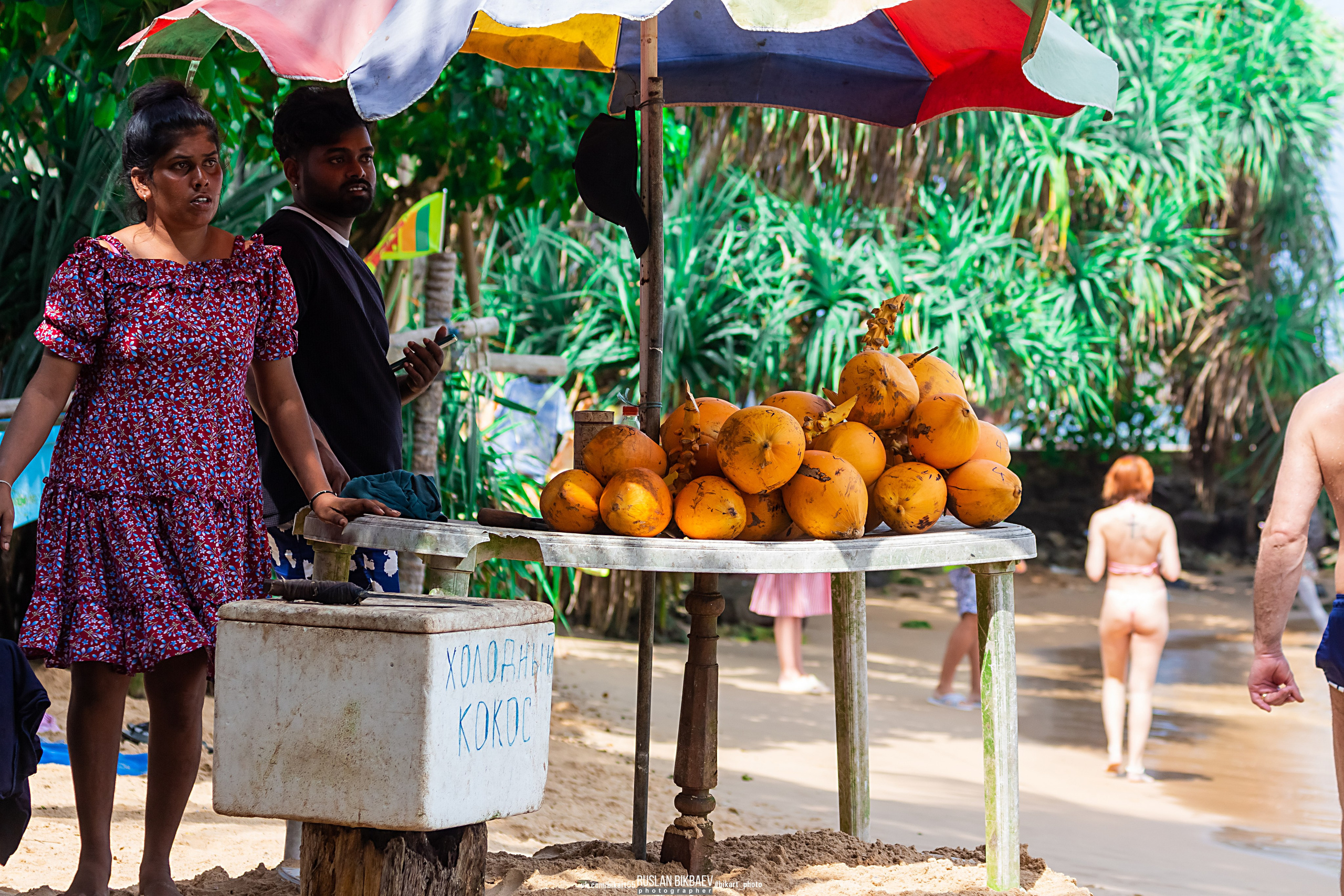 ШРИ-ЛАНКА 2025 / SRI LANKA 2025. Главная