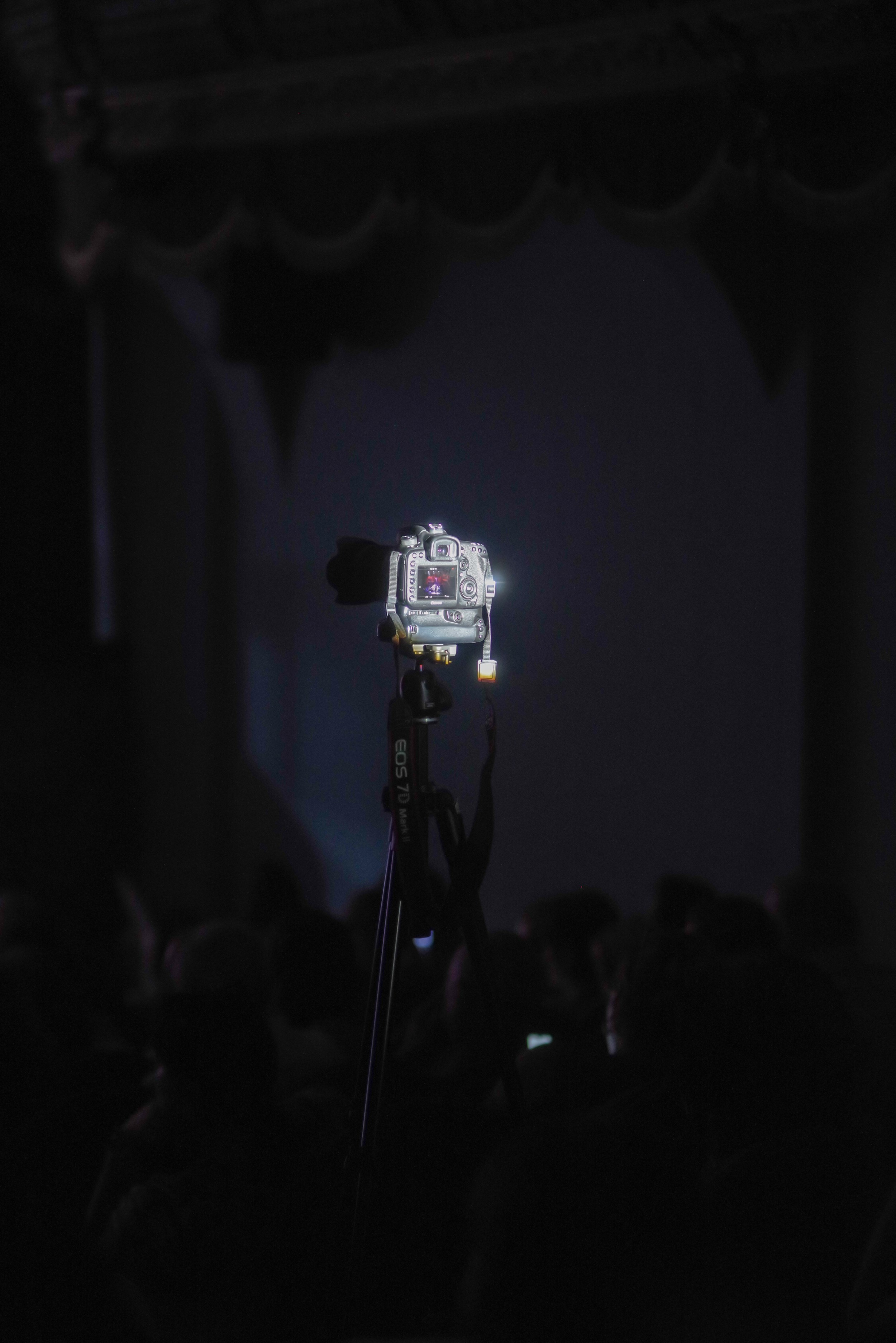 150 лет Сенаки концерт. Портретный фотограф Денис Милютин