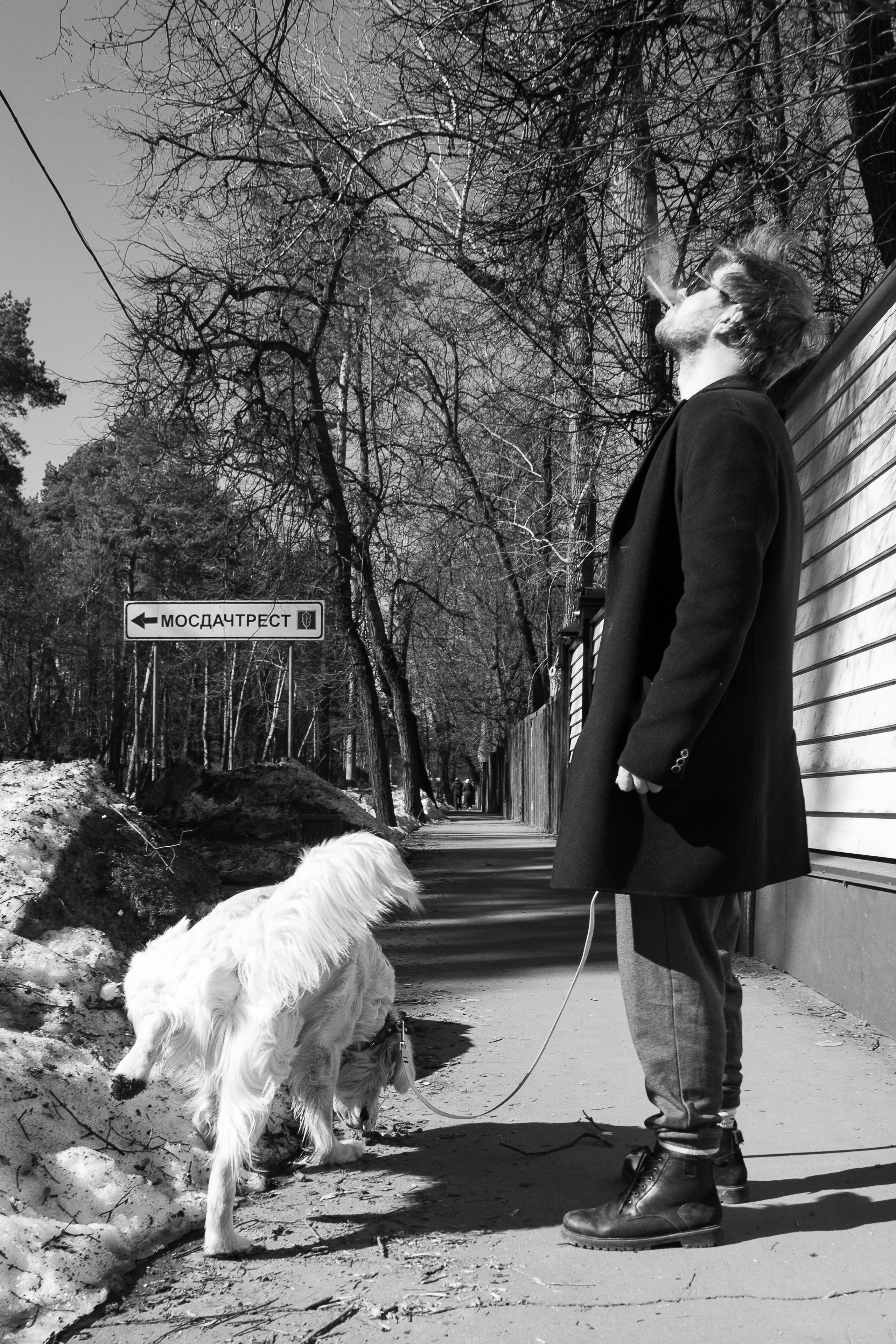 Фотопрогулки. Главная