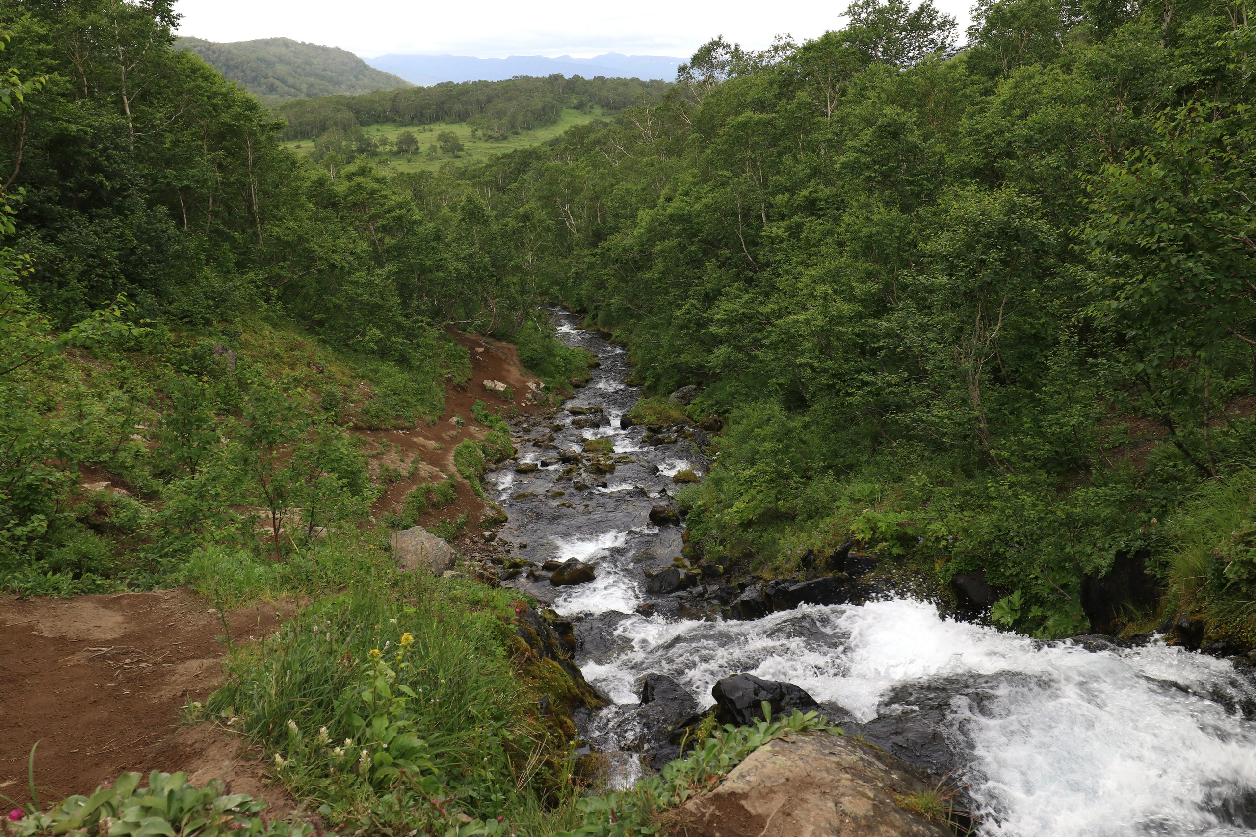 Камчатка и о. Парамушир. Июль 2024. Путешественник-фотограф из Санкт-Петербурга Татьяна Свистулина