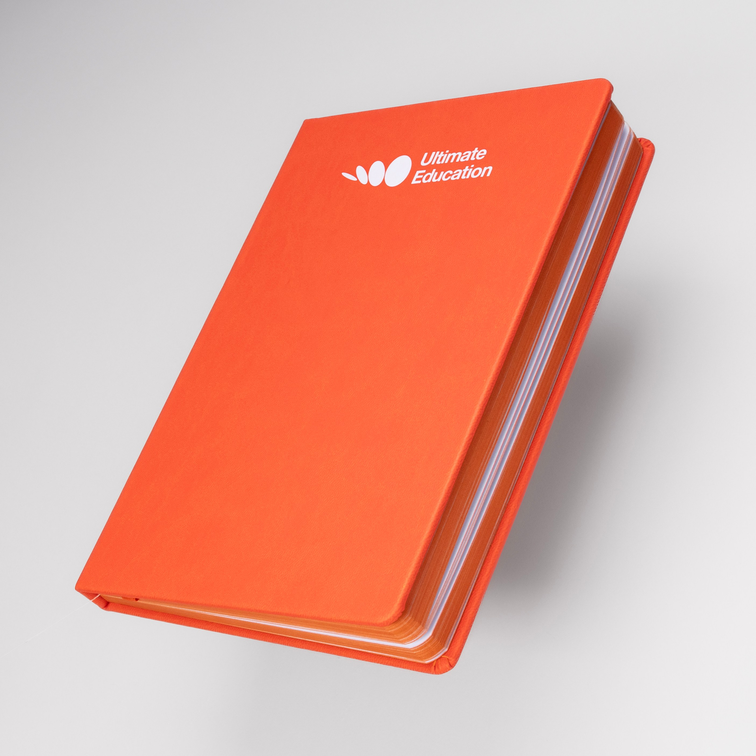 Образовательный холдинг Ultimate Education. Романова Александра фотограф в Москве