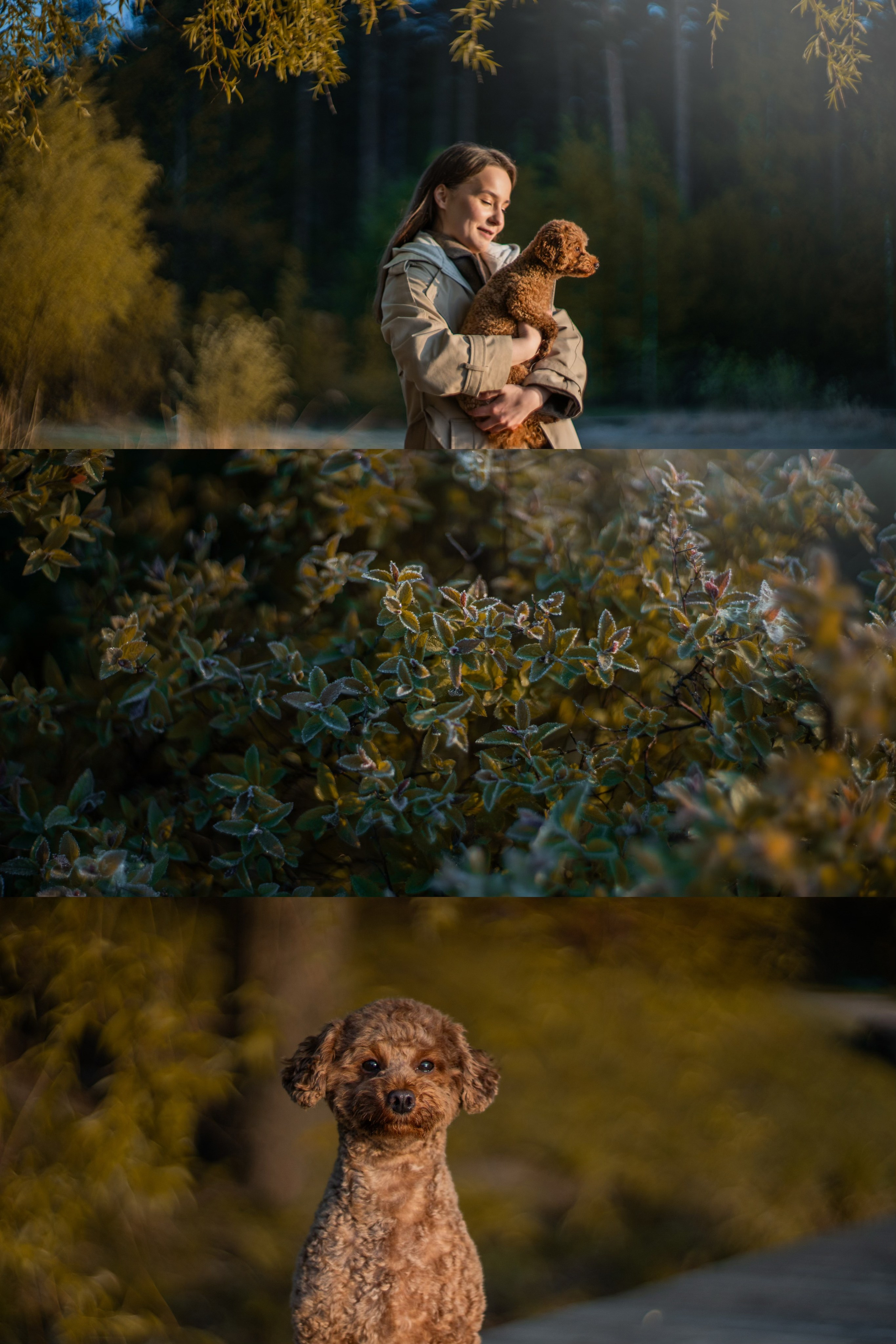 Лия и Чарли. Фотограф анималист в Москве и Санкт-Петербурге Свиридова Анна