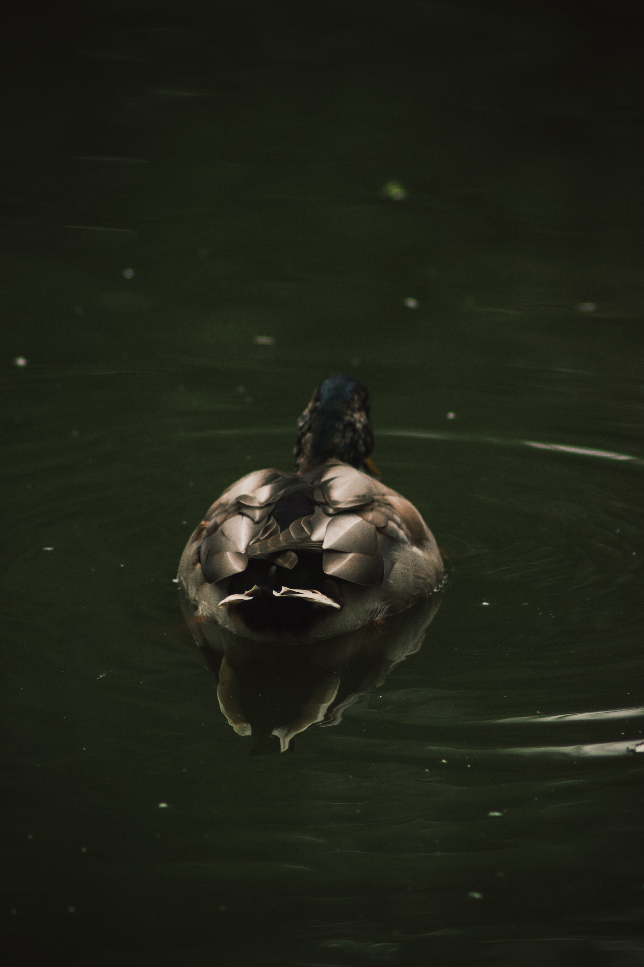 Т Е П Л Ы Й — З Е Л Е Н Ы Й. — Digital Noise —