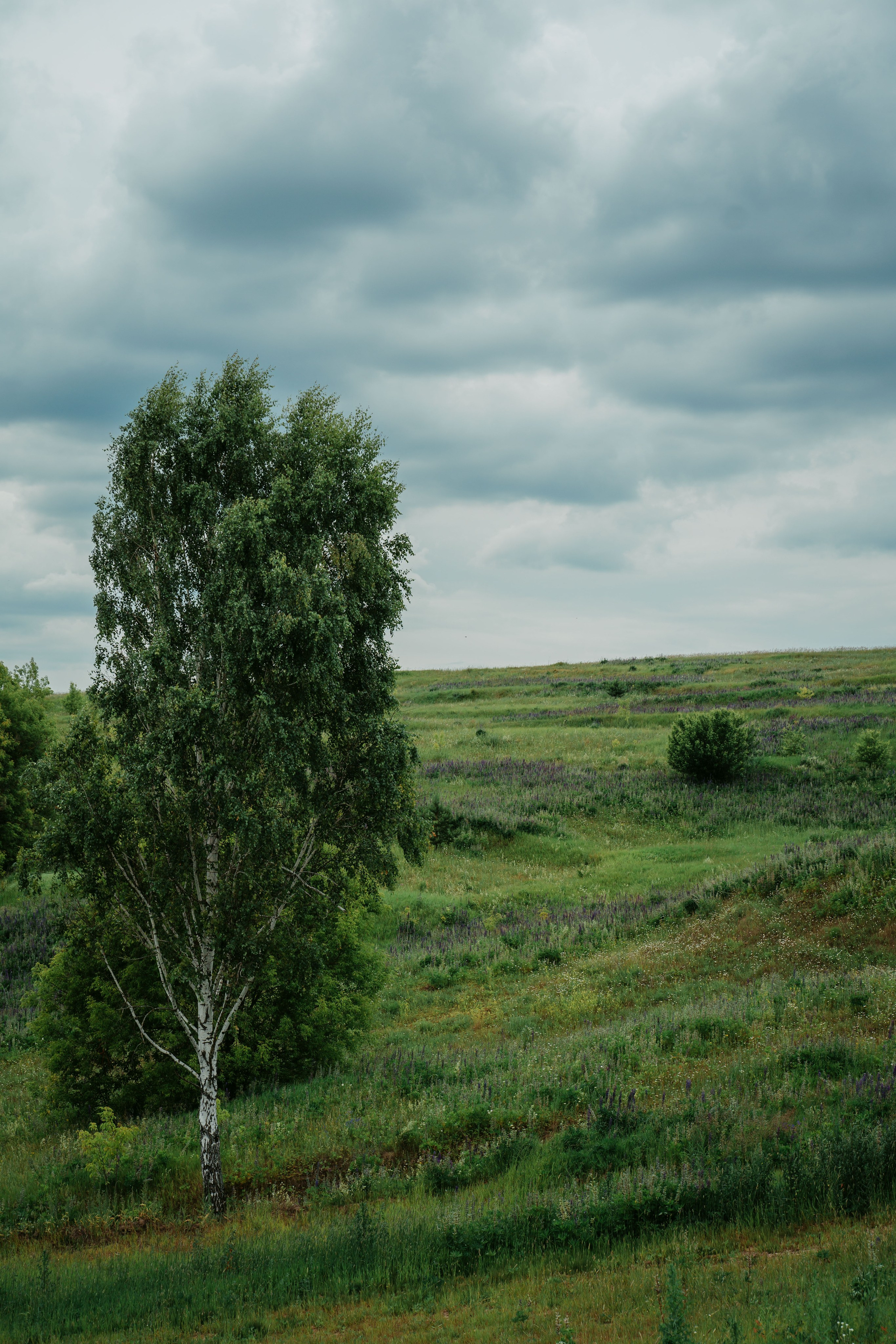 Гектария. Встреча лидеров мнений / 2023. Саша Копылов, фотограф в Казани