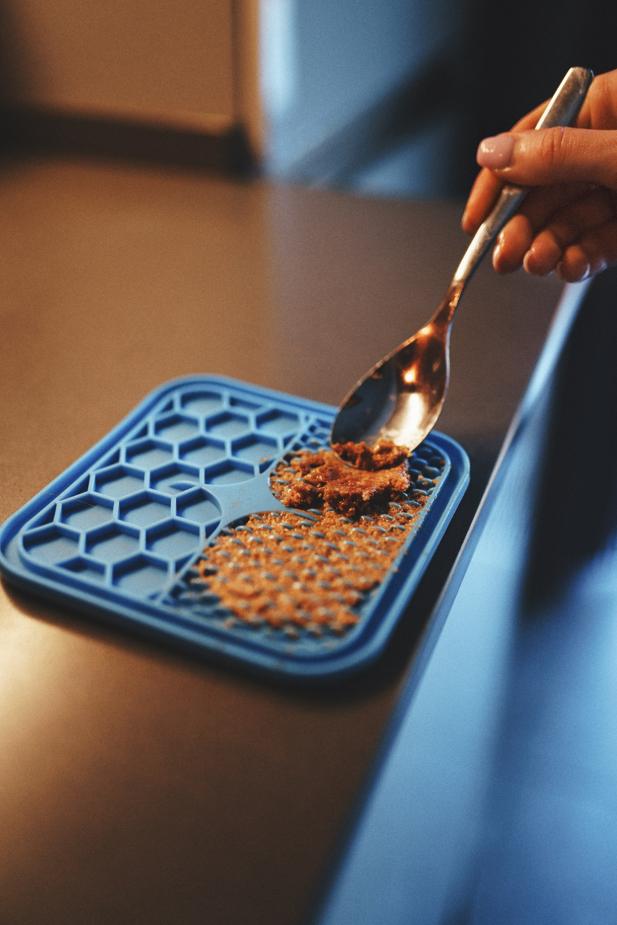 M-Pets. Фотограф анималист Осипчикова Мария