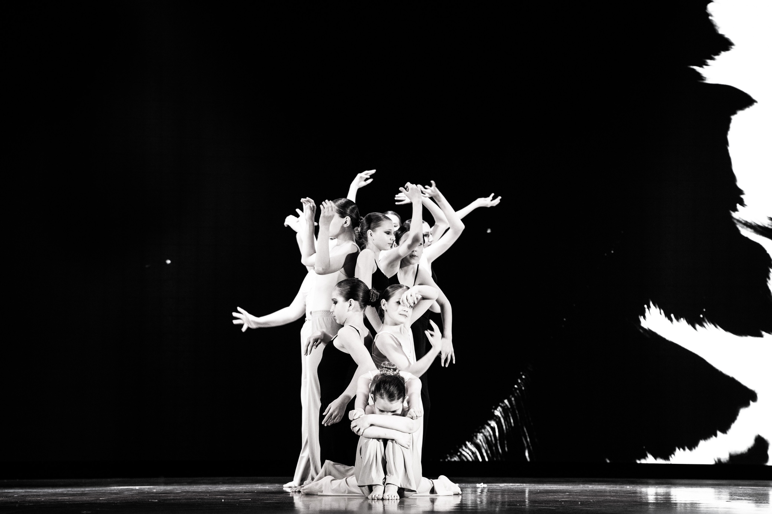 Концертная форма. Фото