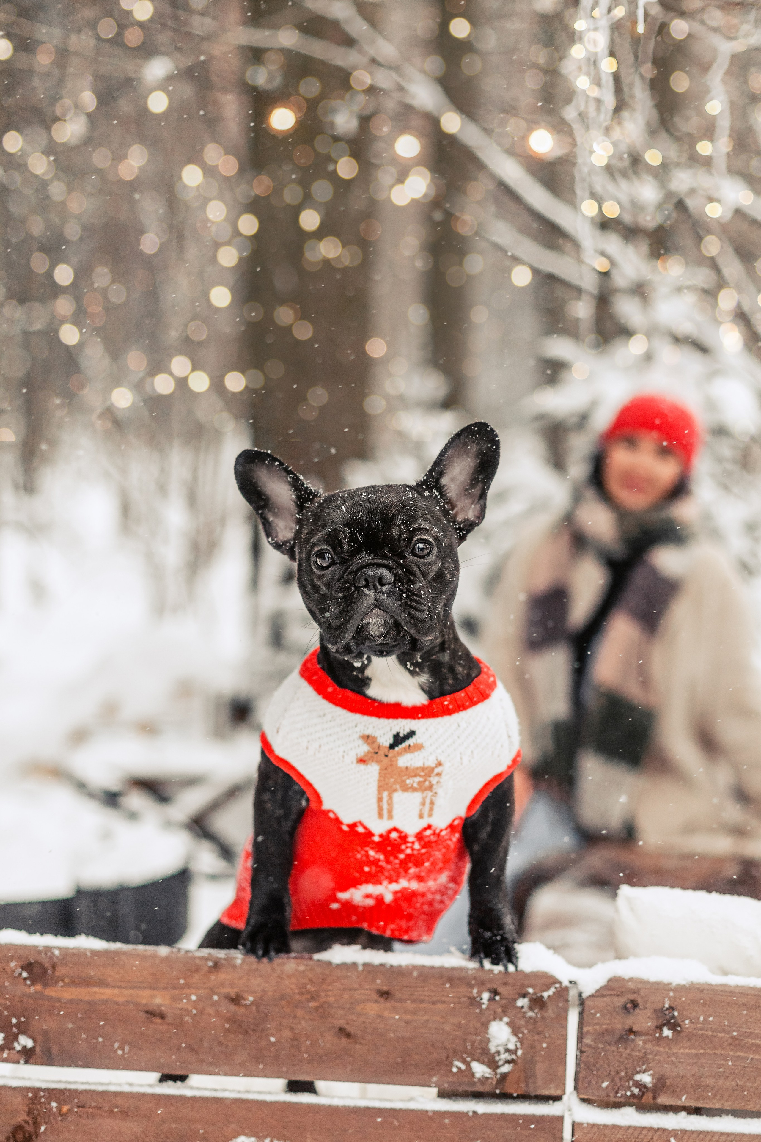 Кантри Хаус. Фотограф-анималист Татьяна Степанова