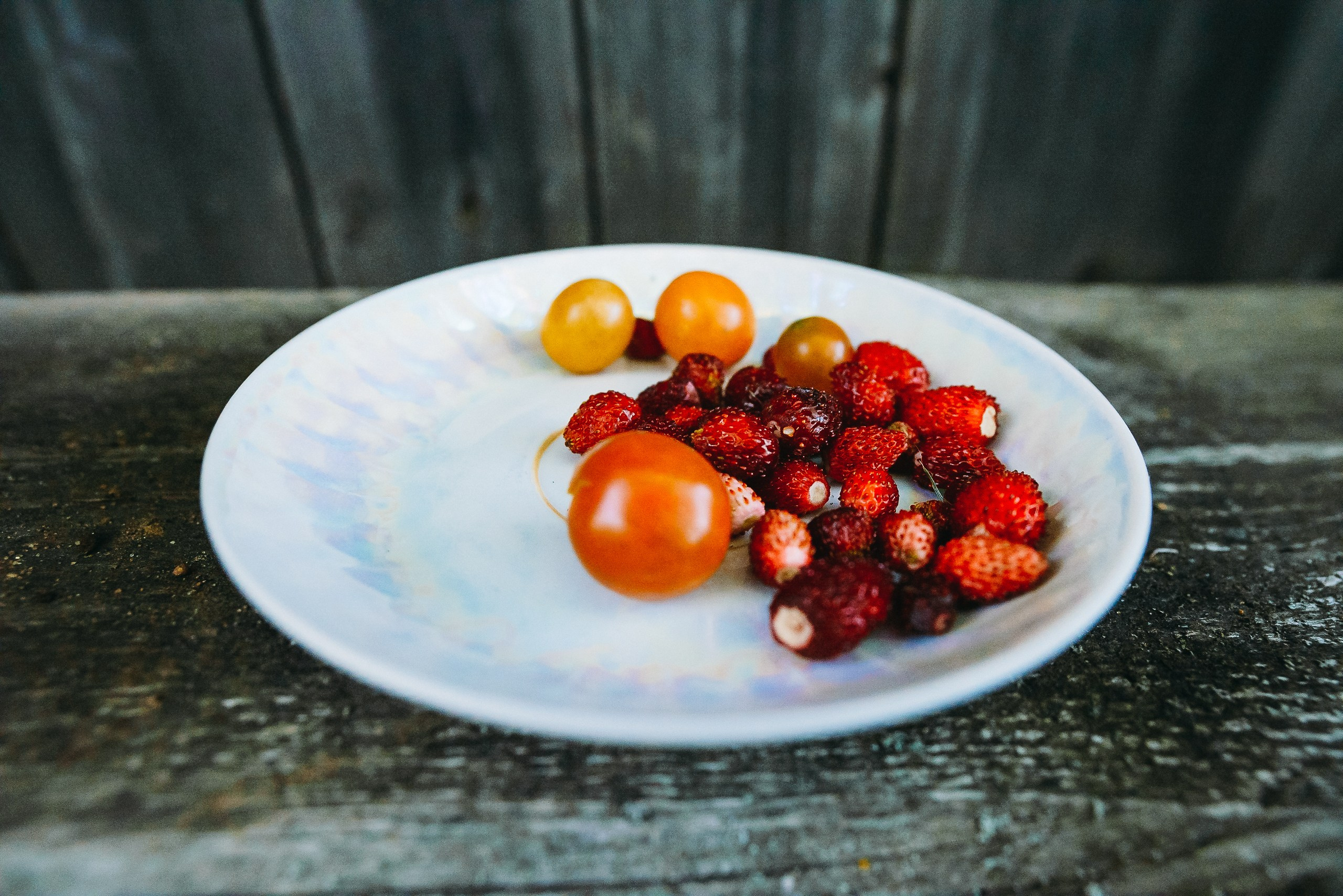 Дачная история. Свадебный и семейный фотограф в Минске Филиппович Александр