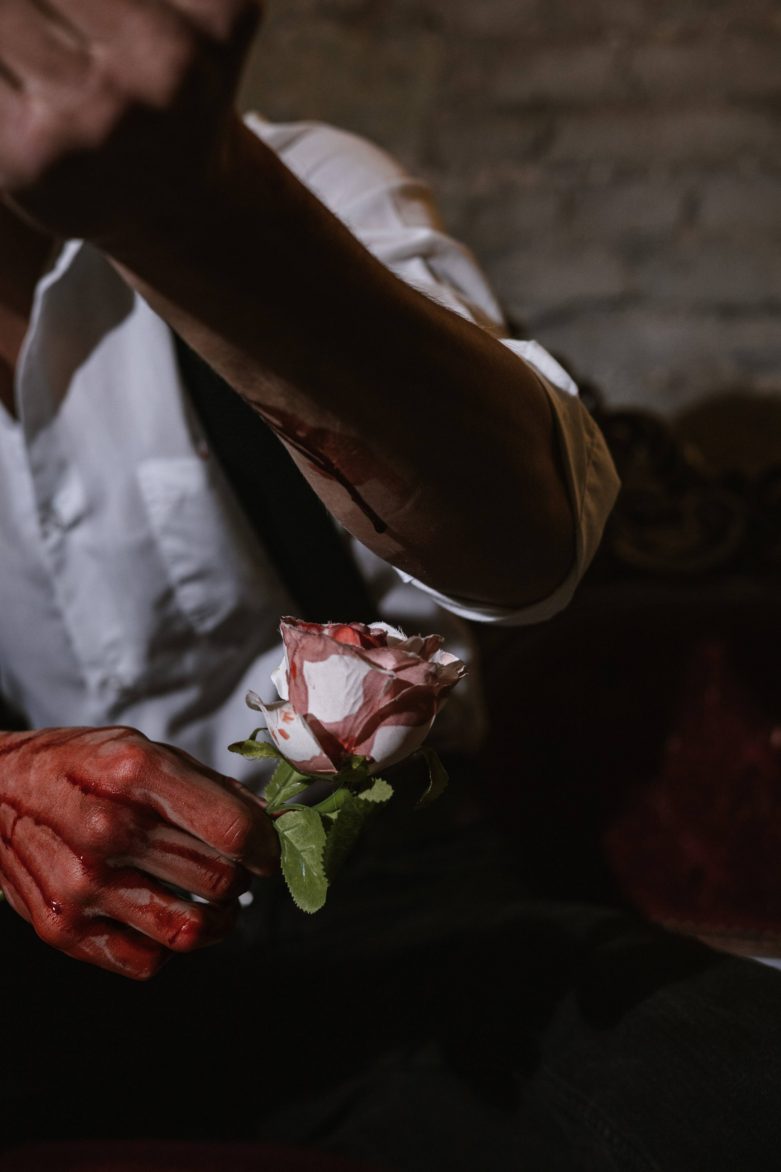 Halloween 2024. Gorbunova Alina Фотограф